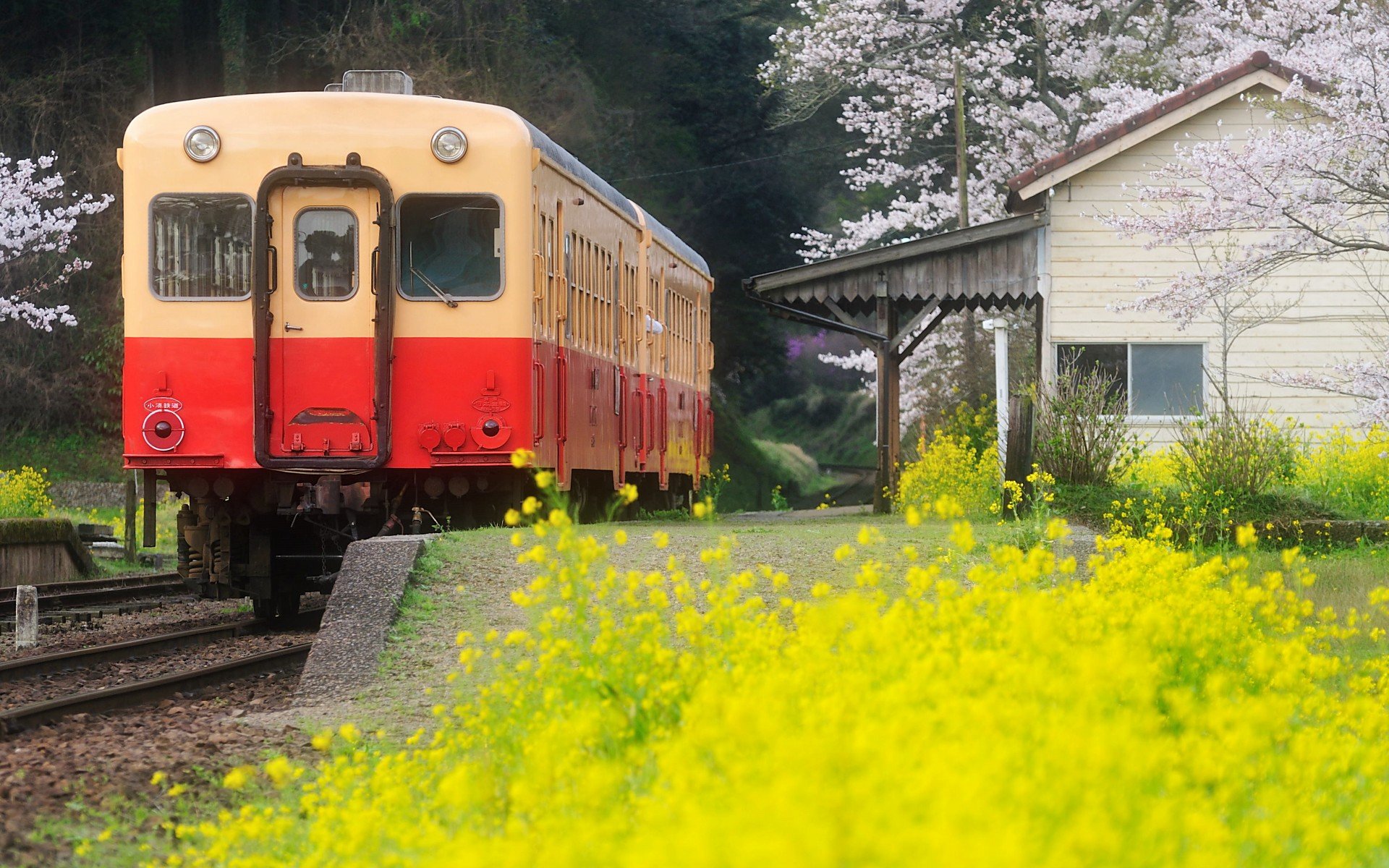 温馨一刻 小清新 风景 LOMO 复古 怀念