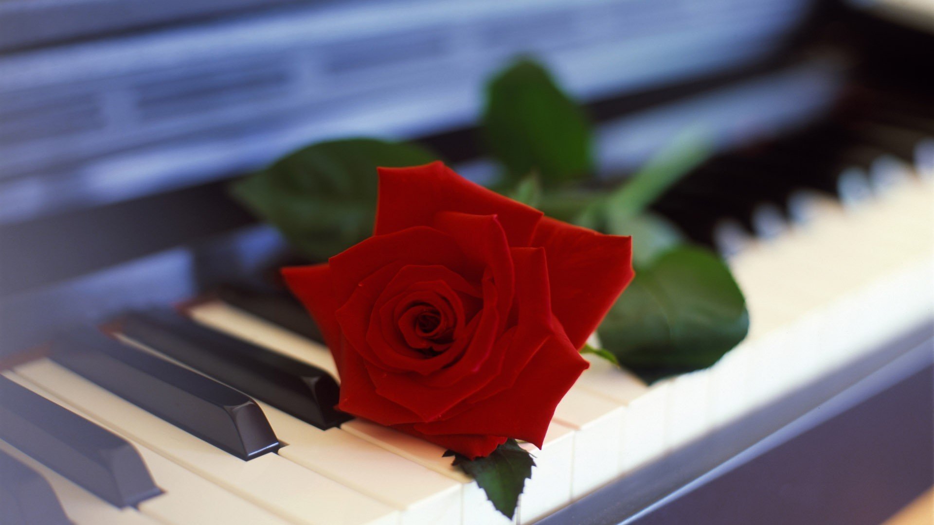 小清新 唯美 温暖 安静