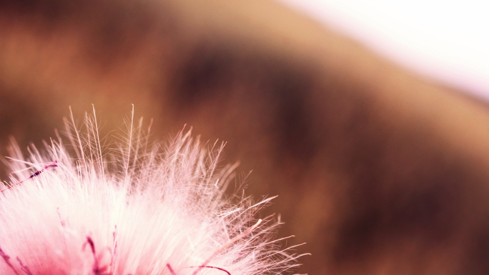 小清新 唯美 温暖 安静