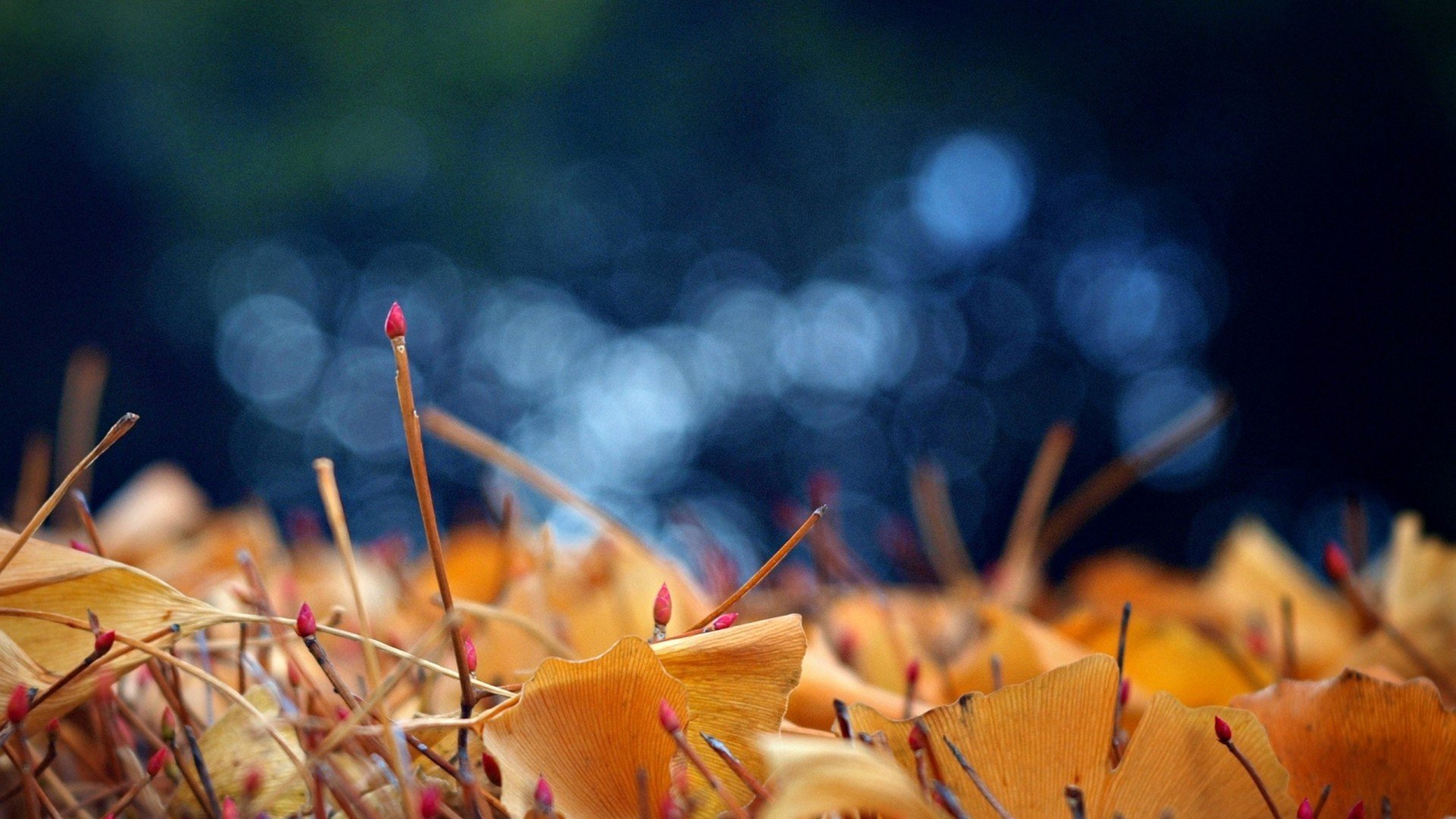 小清新 唯美 温暖 安静