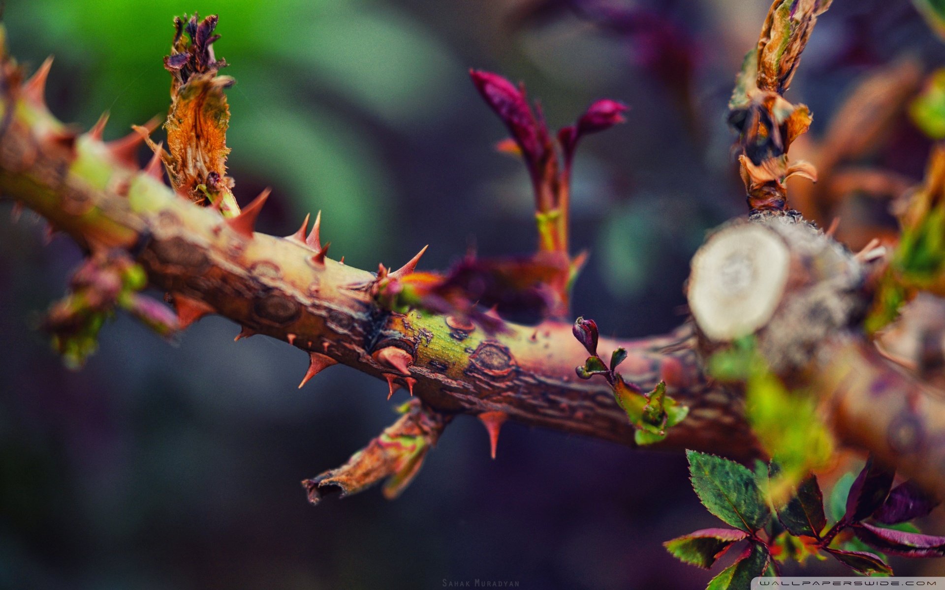 小清新 唯美 温暖 安静