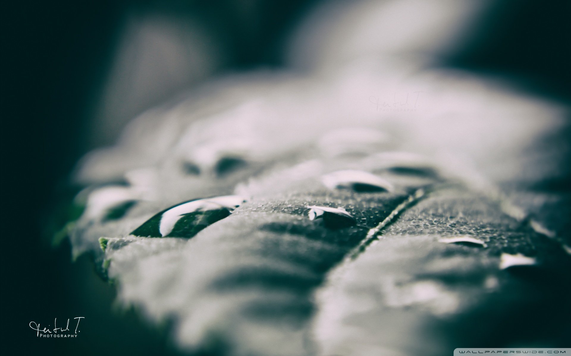 小清新 唯美 温暖 安静