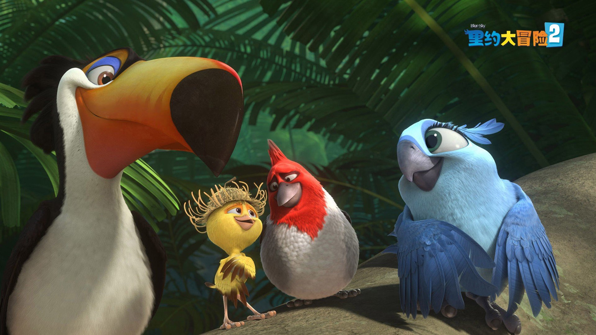 影视剧照 里约大冒险 电影