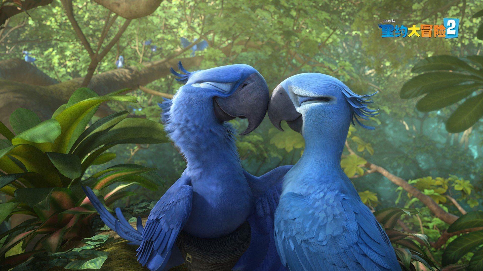 影视剧照 里约大冒险 电影