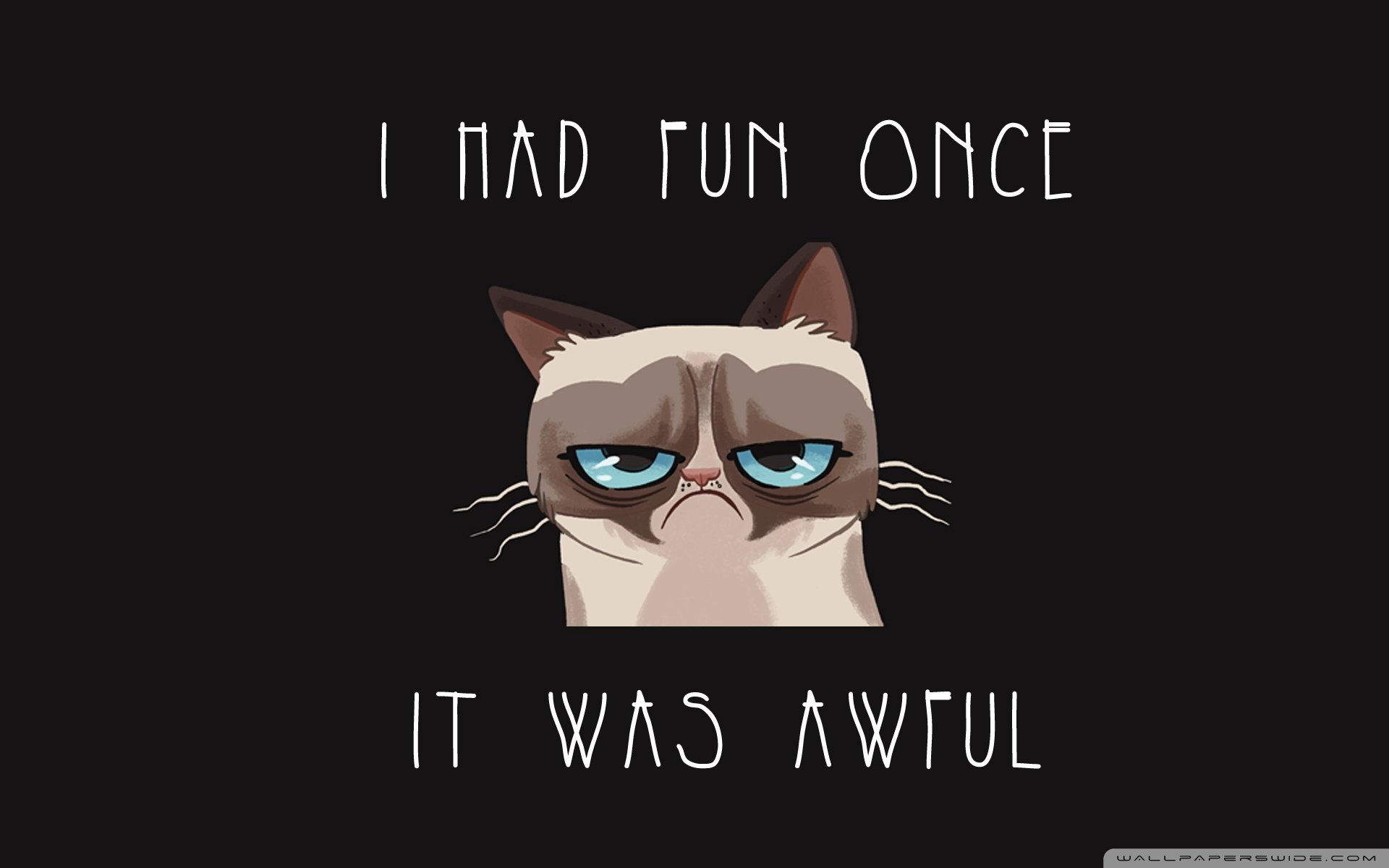 炫酷 简约 质感 特效