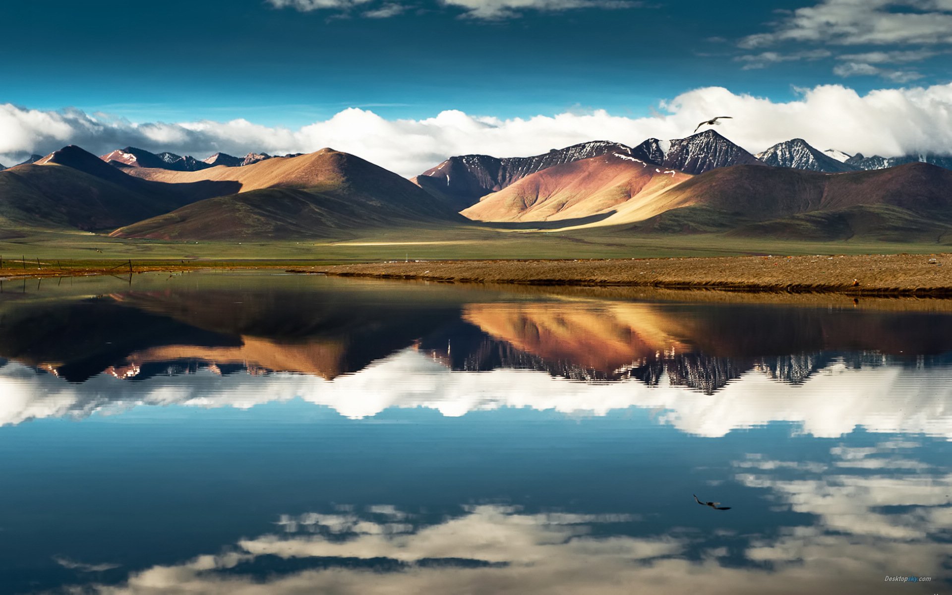 风景 自然风光 旅行 天堂 西藏 旅游胜地 自由 净化心灵