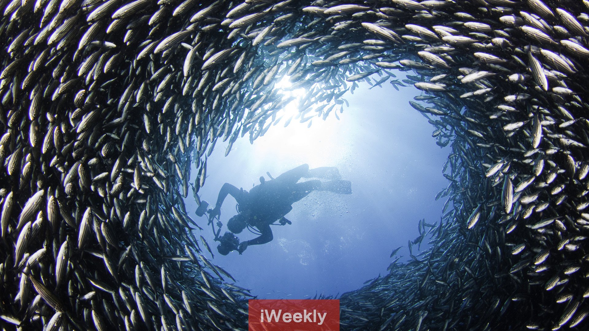 iweekly 周末画报 风景 摄影