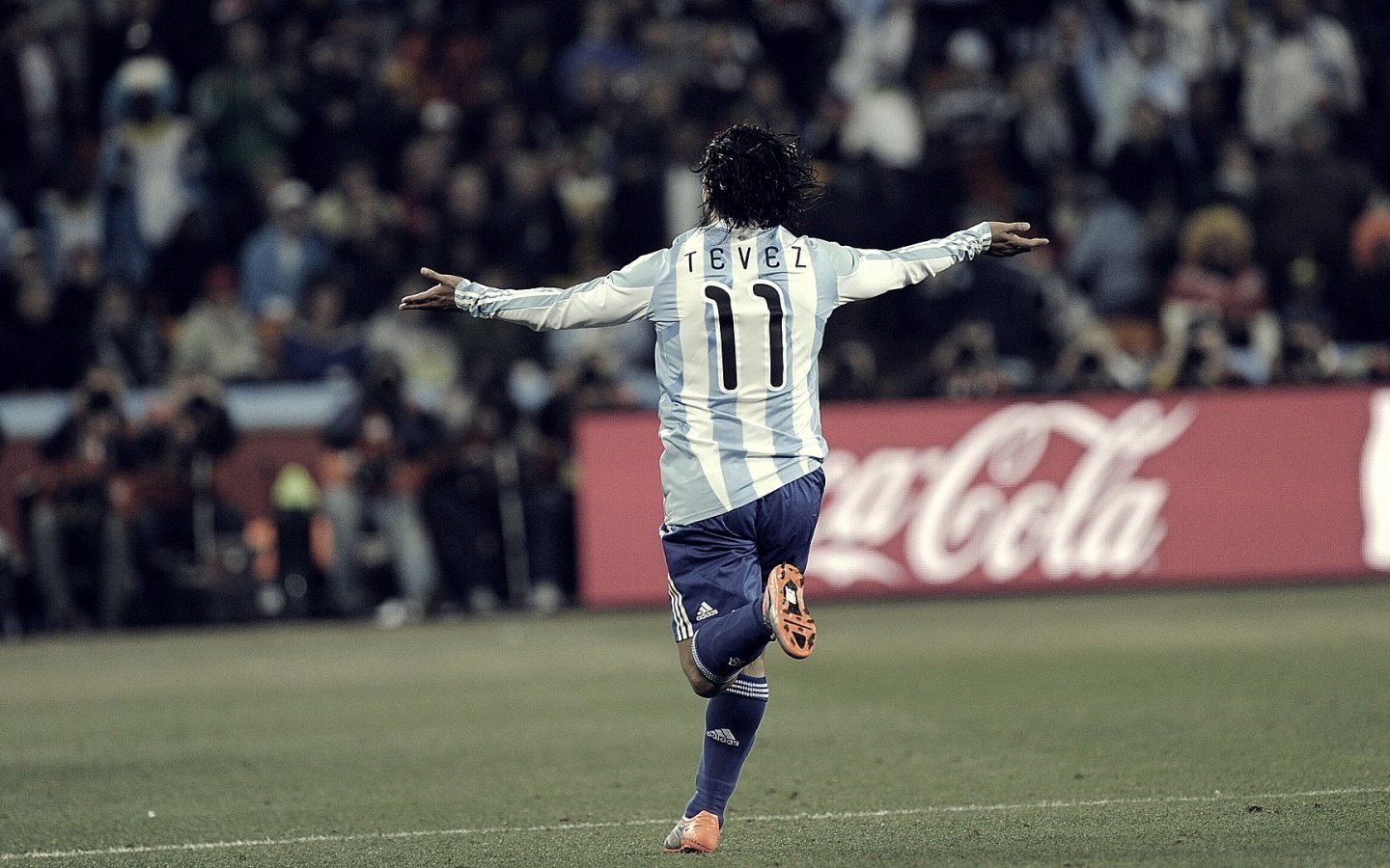 巴西 世界杯 足球 比赛 赛场