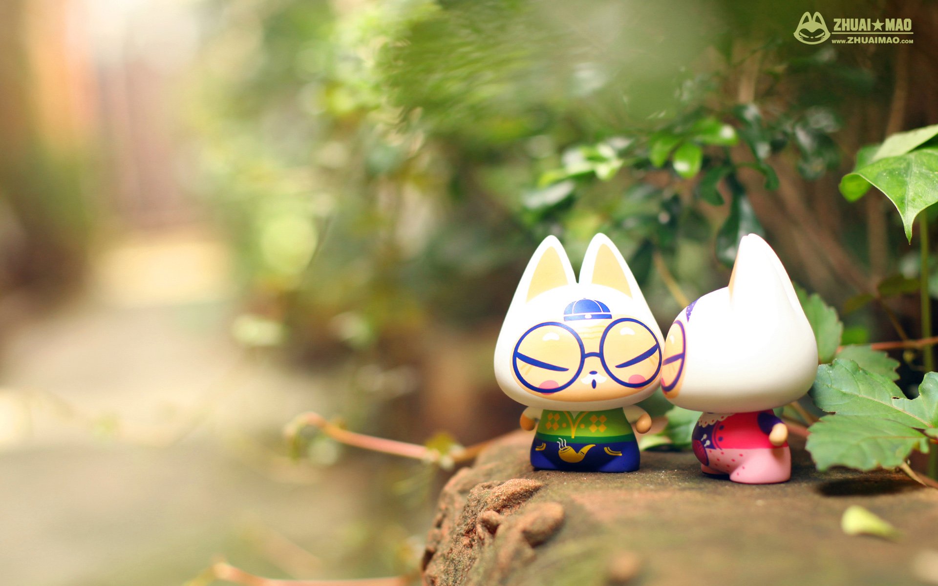 拽猫 父亲节 摄影 小清新 静物 写真