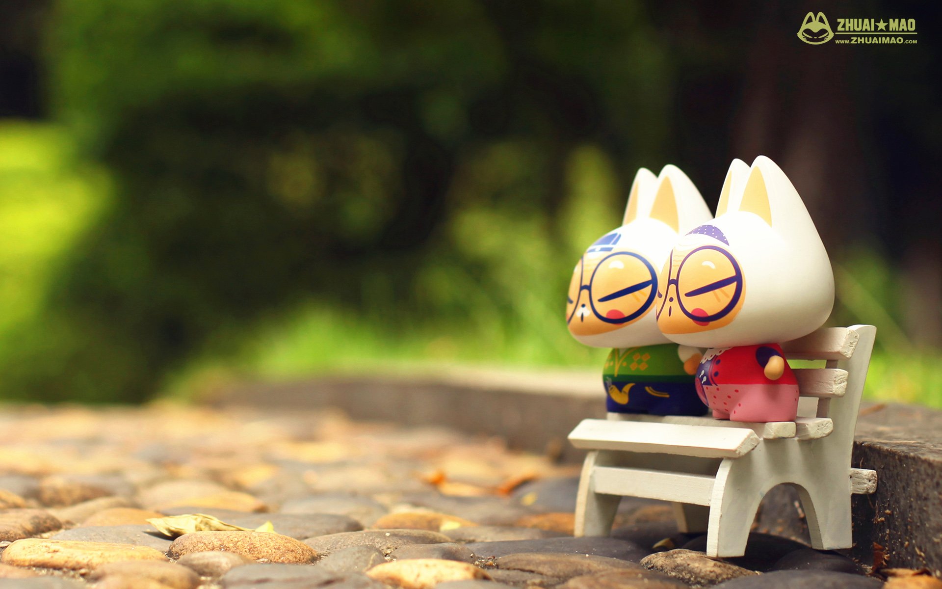 拽猫 父亲节 摄影 小清新 静物 写真