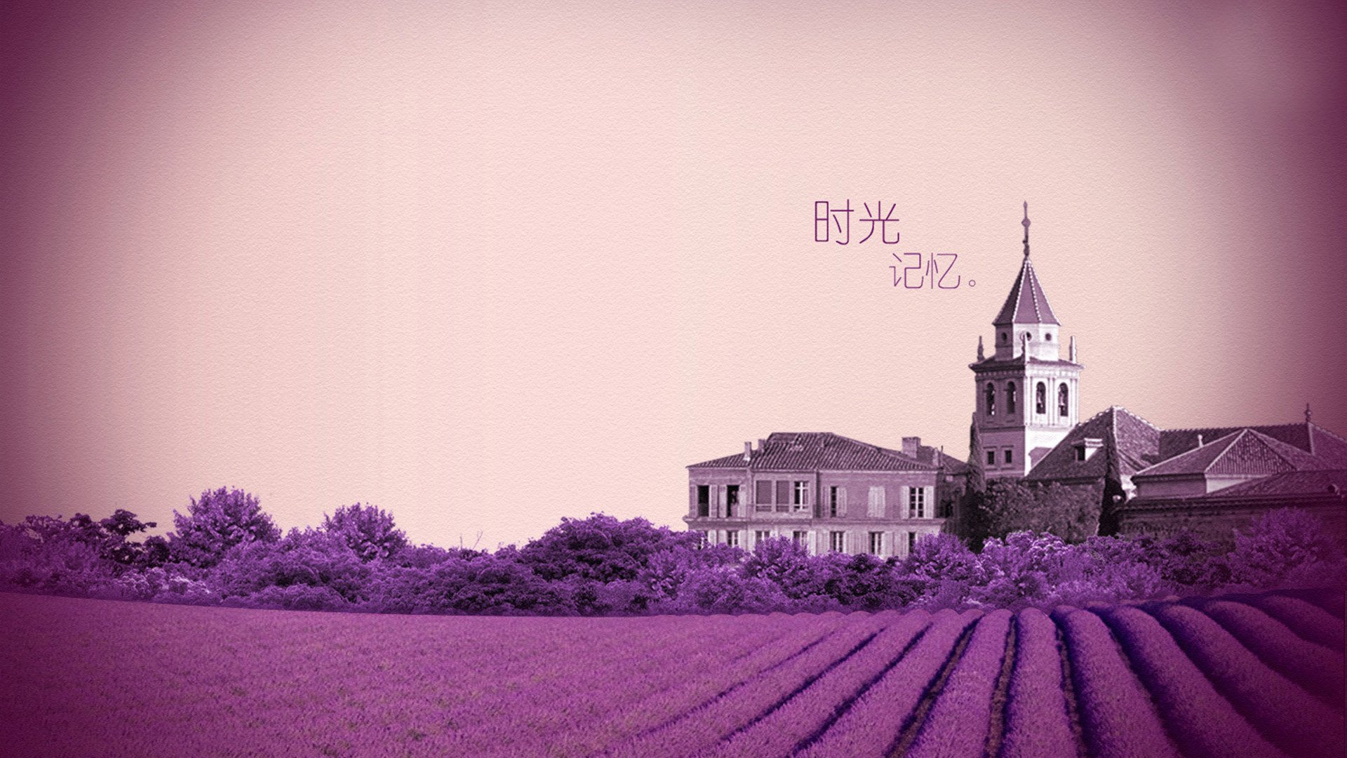 小清新 唯美 薰衣草 风景 植物 等待爱情 紫色