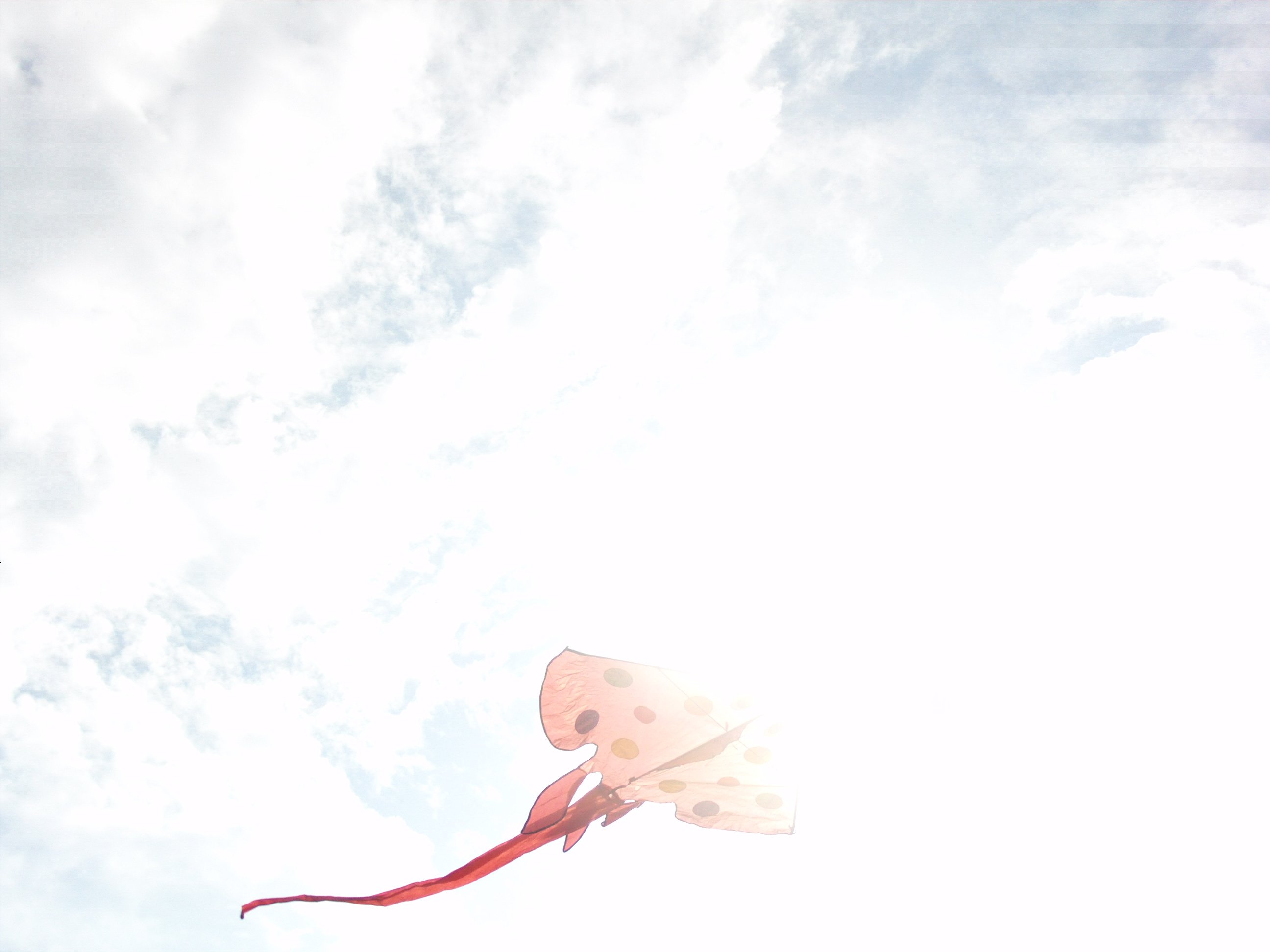 小清新 唯美 温馨 安静 风筝