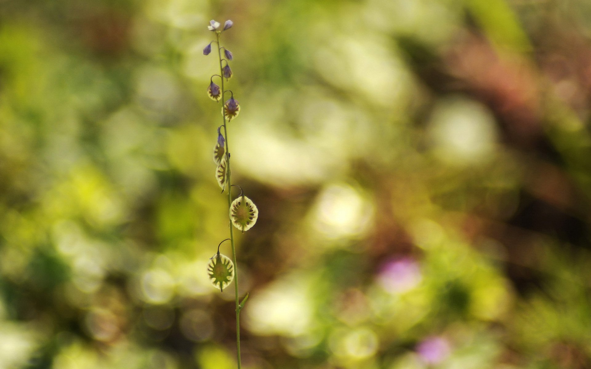 小清新 唯美 温馨 安静