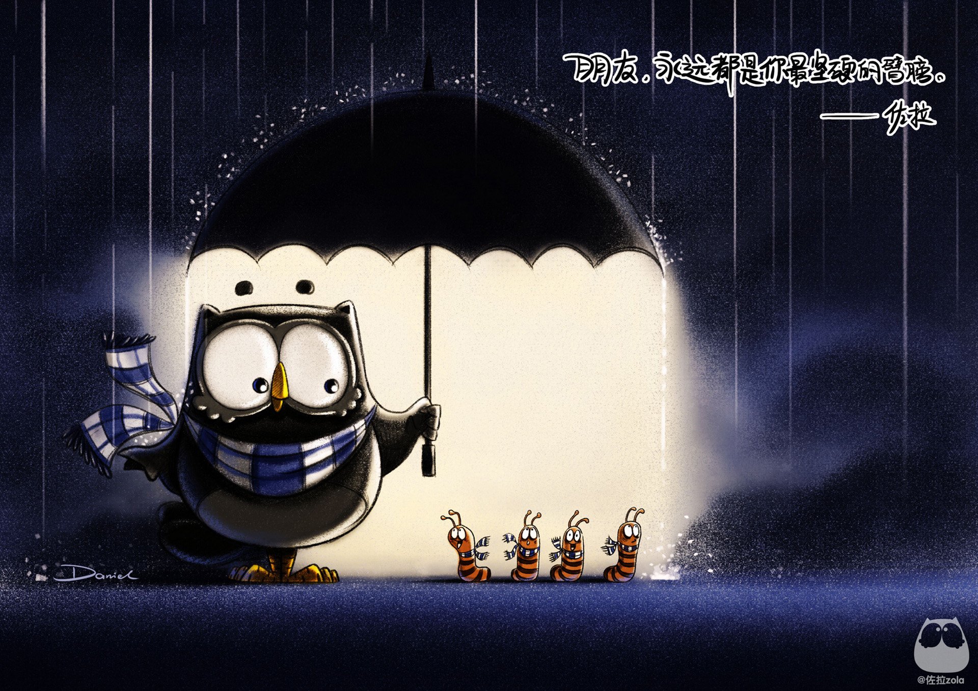 猫头鹰佐拉 文字 励志  正能量 心灵鸡汤