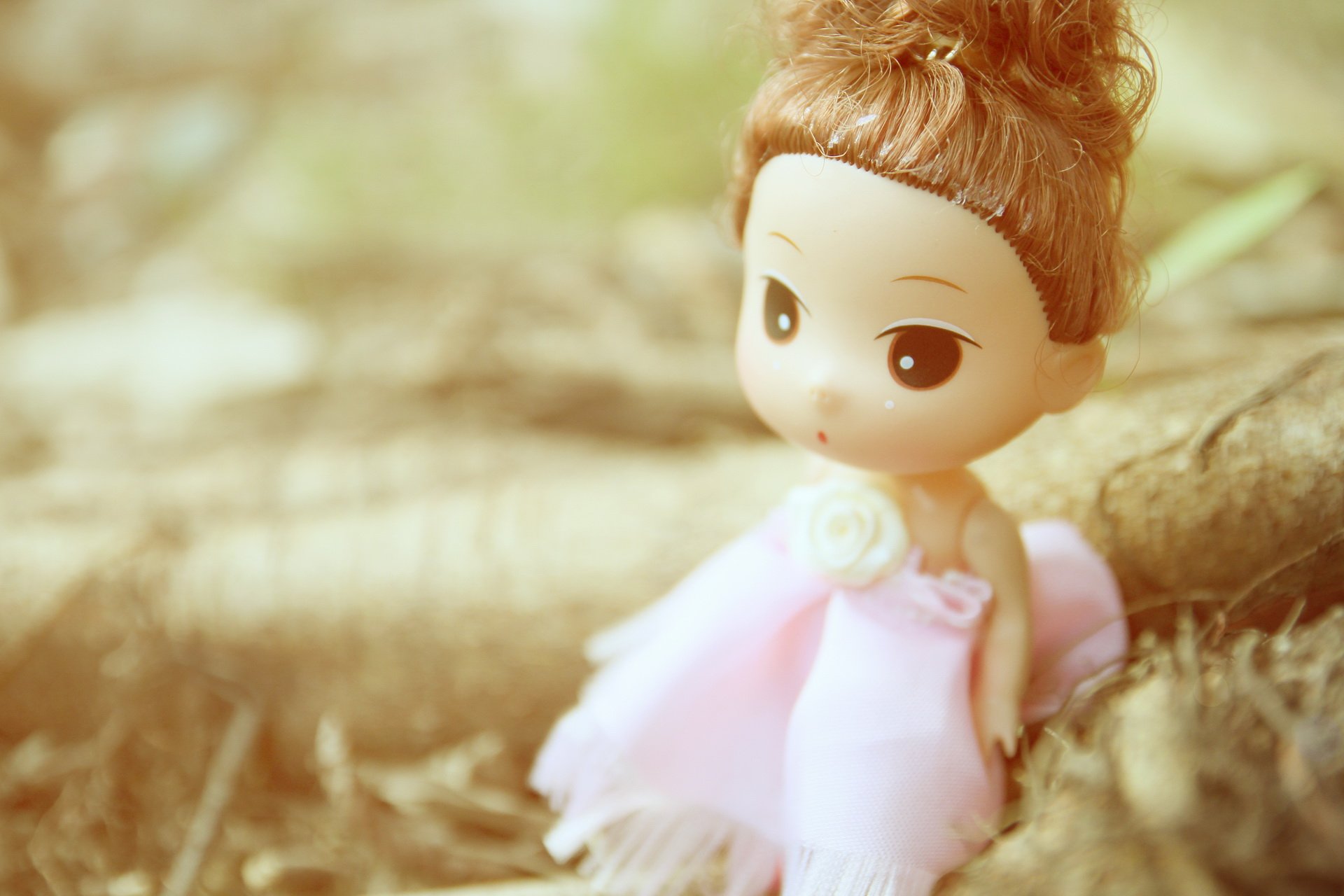 小清新 女孩 静物写真 SD娃娃 可爱