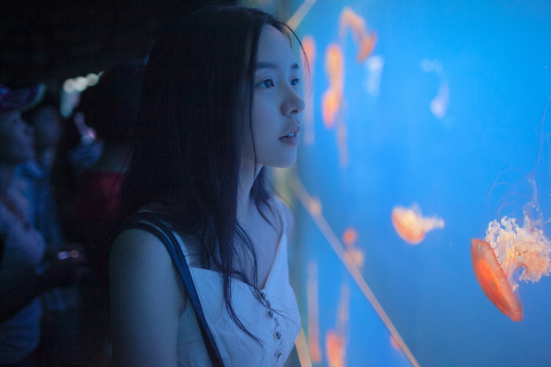 美女 模特 暴暴蓝摄影 清纯  女孩