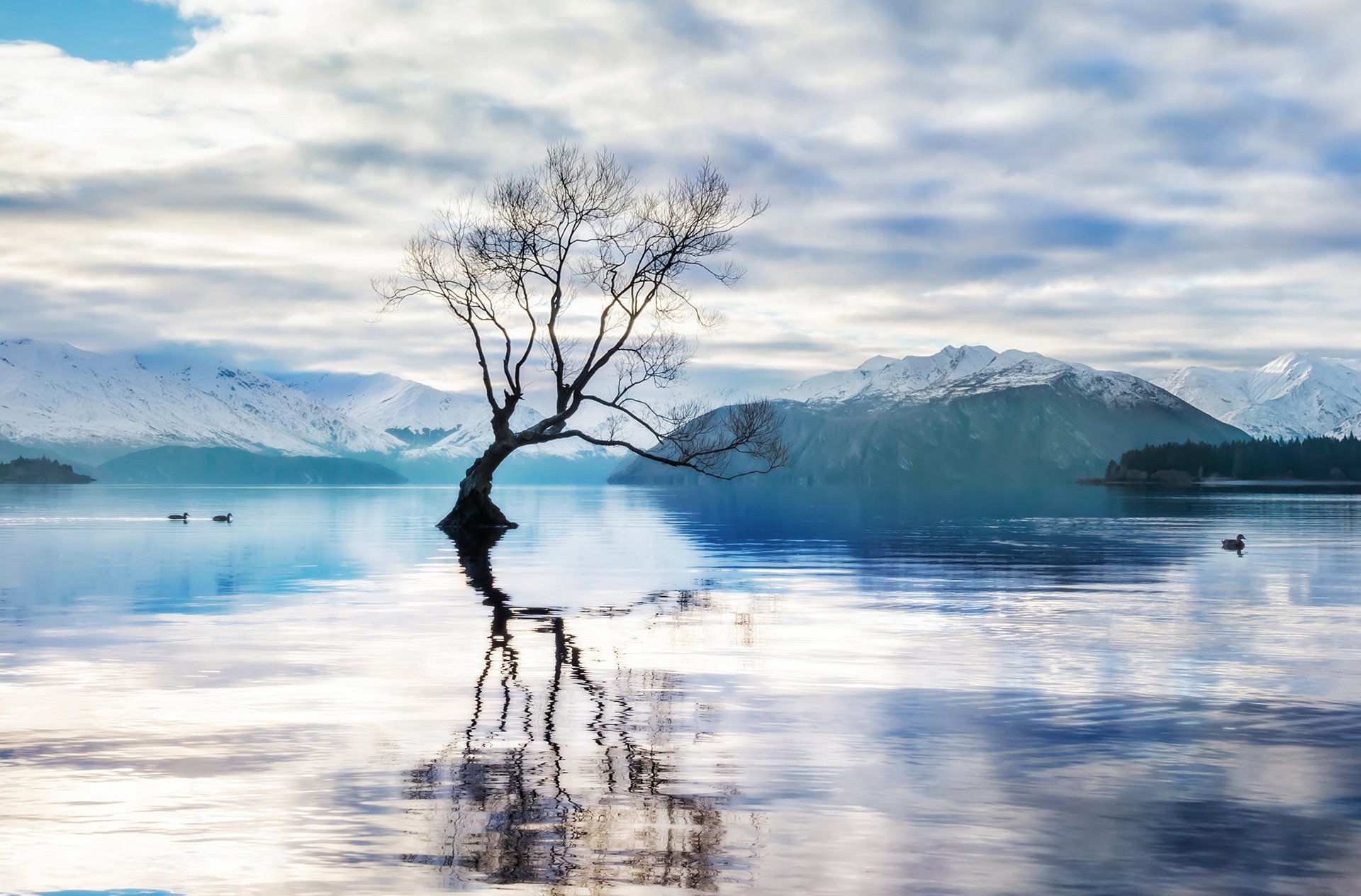 小清新 唯美 干枯 生命 坚强 顽强