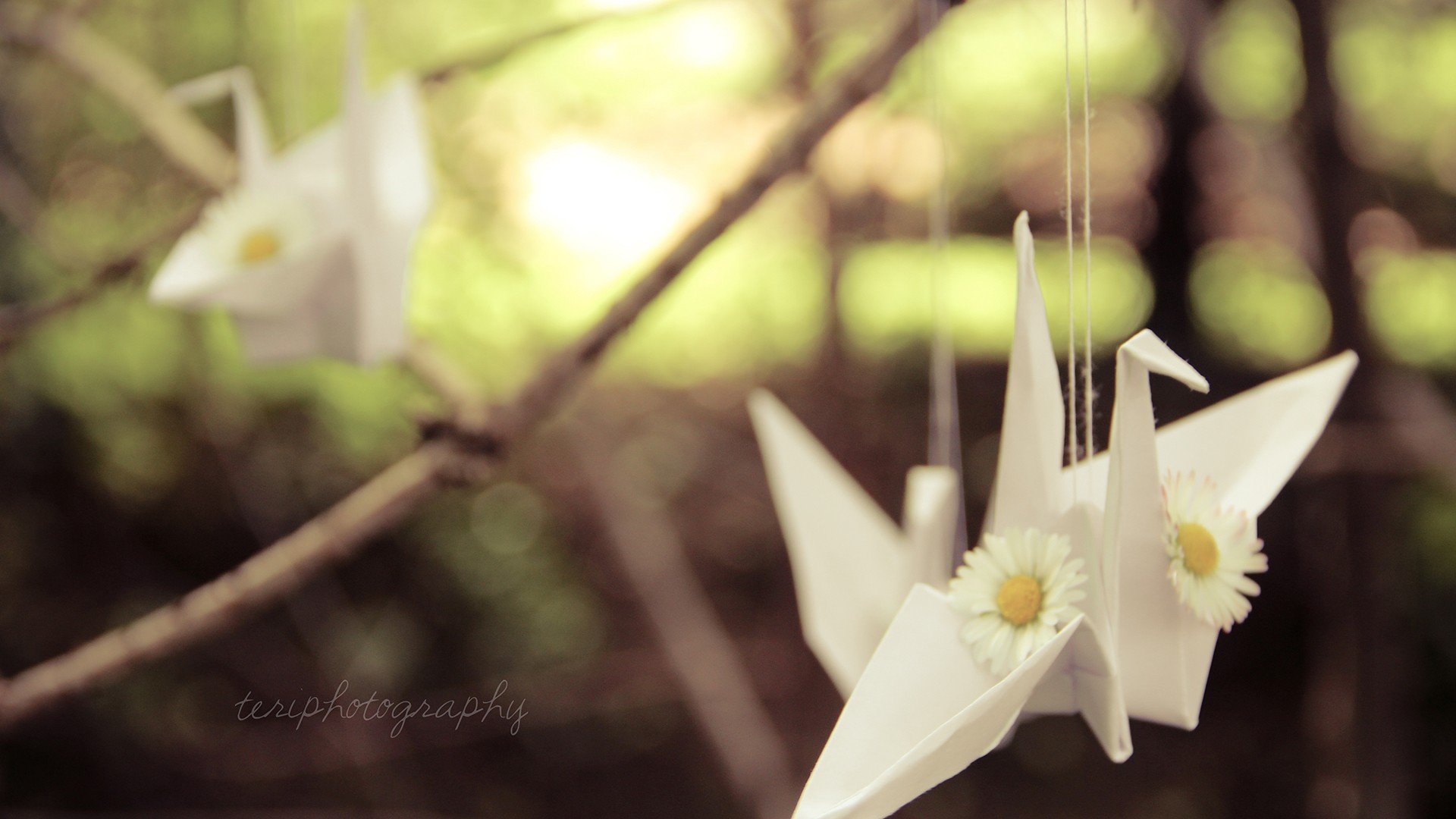 小清新 唯美 折纸 愿望 心愿 千纸鹤