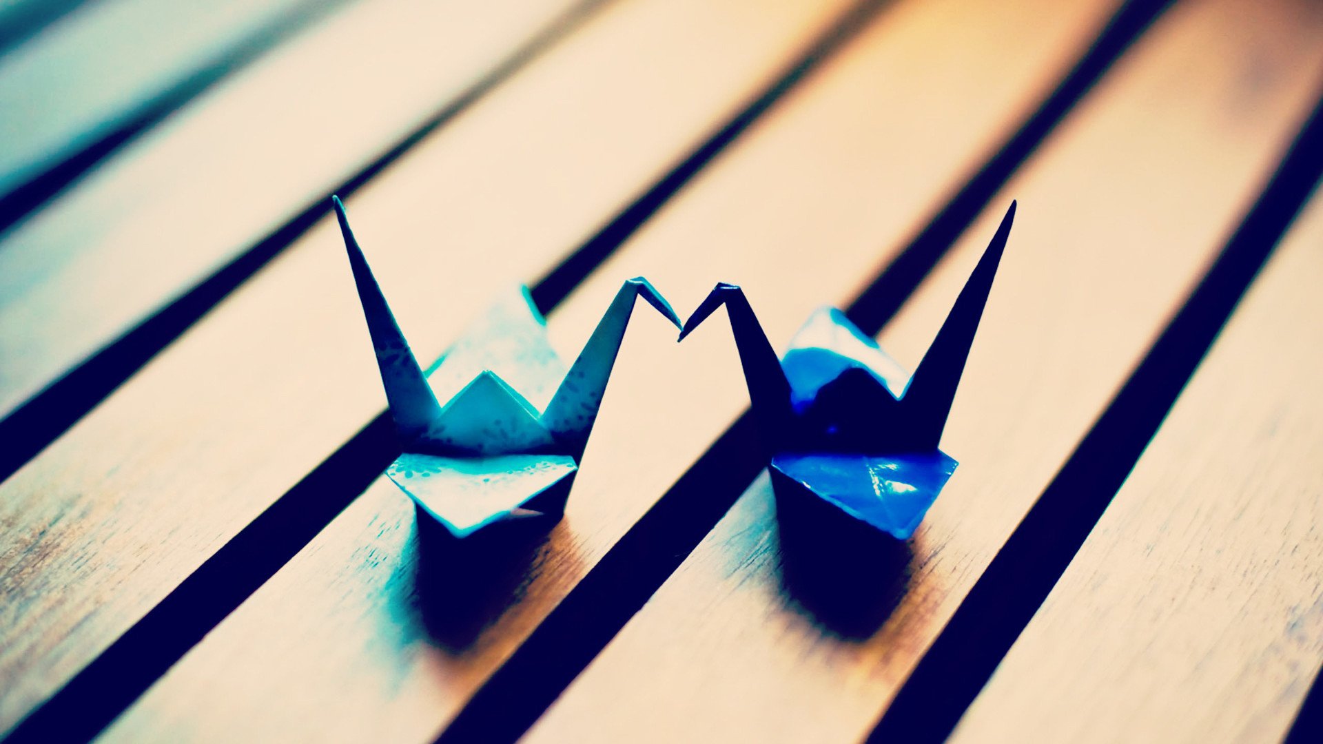 小清新 唯美 折纸 愿望 心愿 千纸鹤