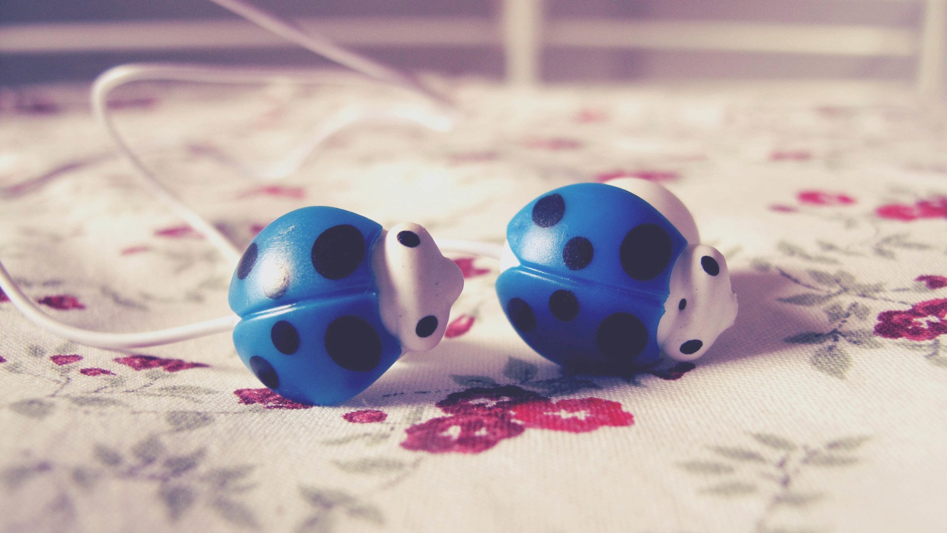 小清新 唯美 静物写真 物语 孤单 等待 温暖 安静