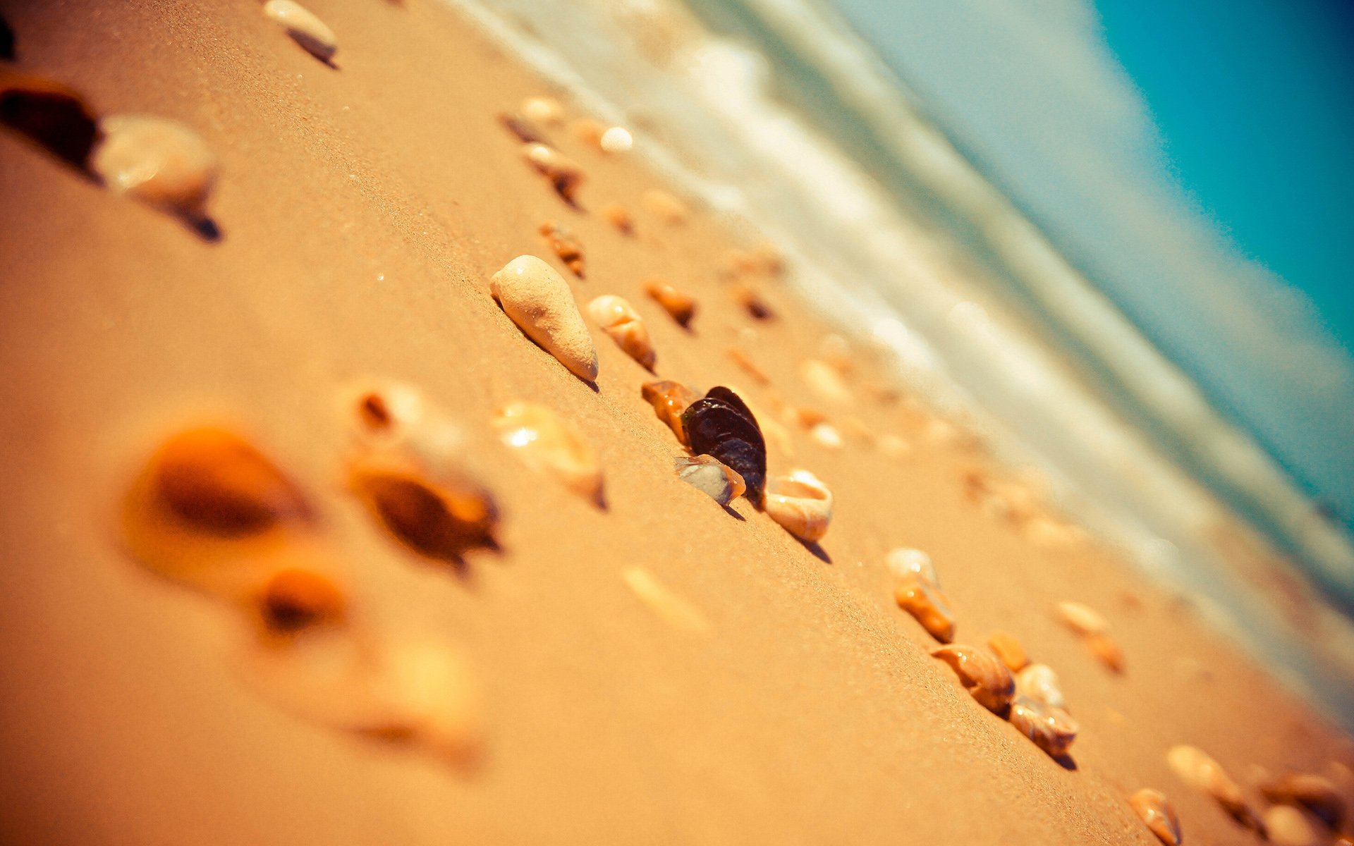 小清新 唯美 静物写真 物语 大海 海边 海螺 沙滩 贝壳