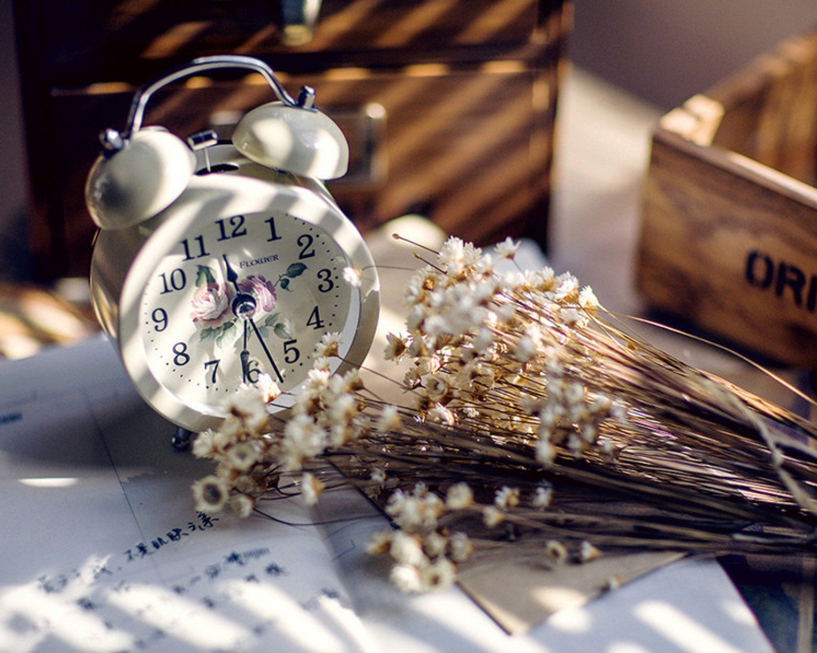 小清新 唯美 静物写真 温馨 物语 回忆 花