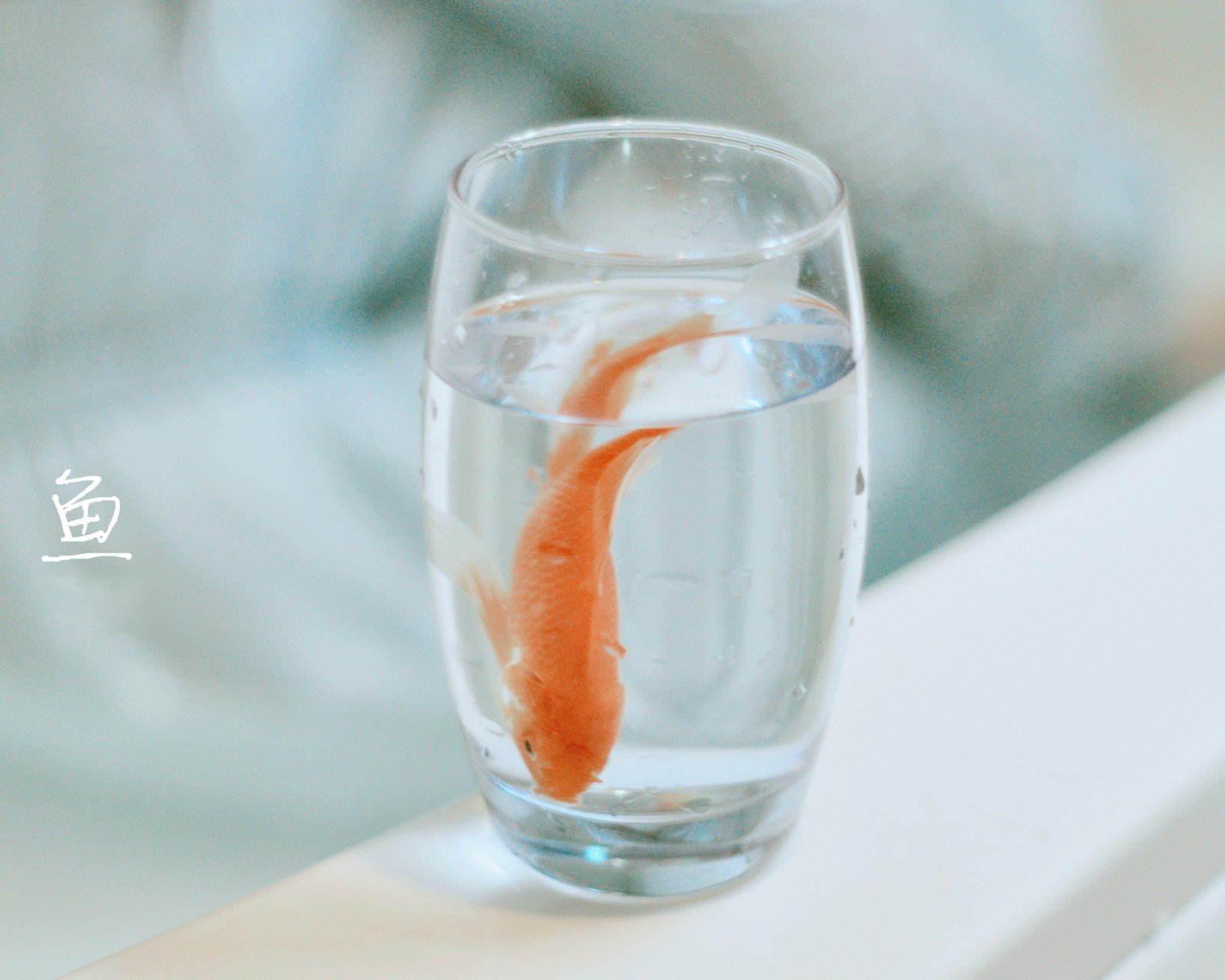 小清新 唯美 静物写真 温馨 物语 回忆 气球 美女云朵 幻想 想象