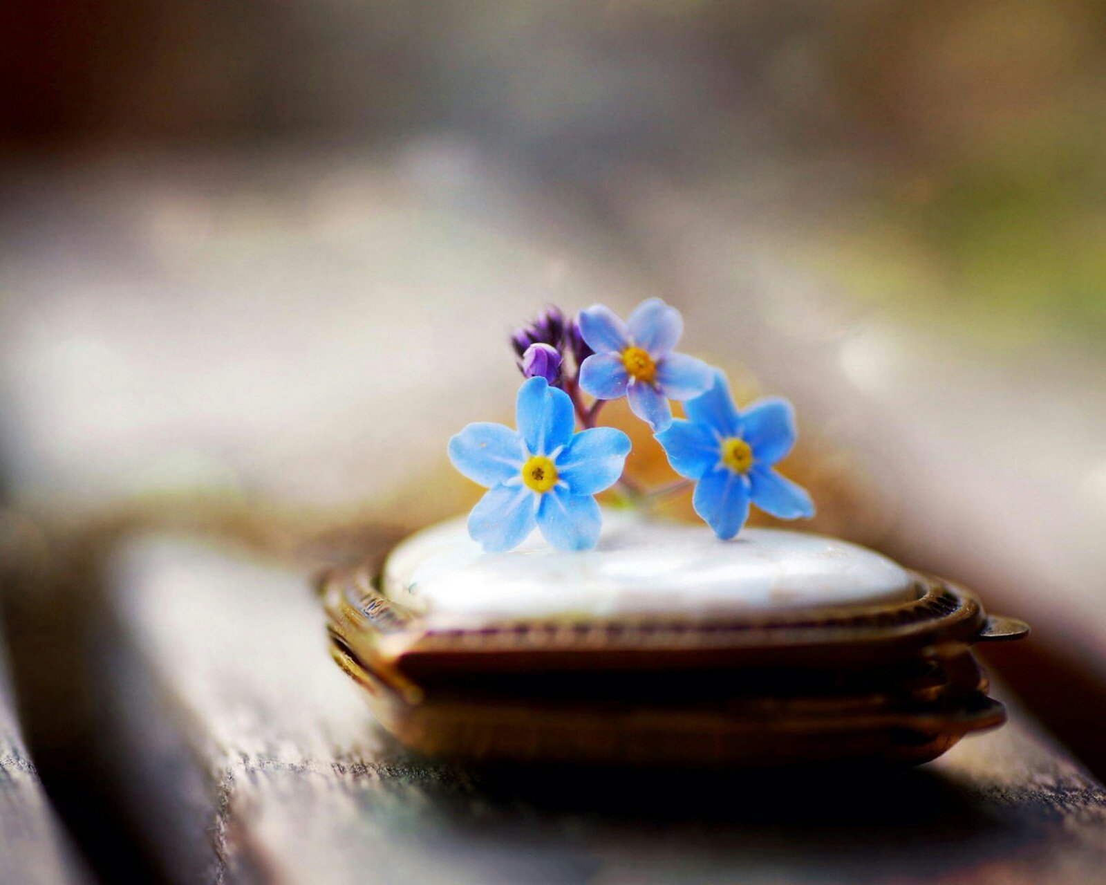 小清新 唯美 静物写真 温馨 物语 回忆 绳子