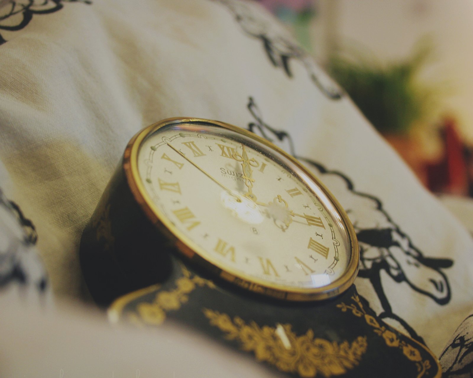 小清新 唯美 静物写真 温馨 物语 回忆