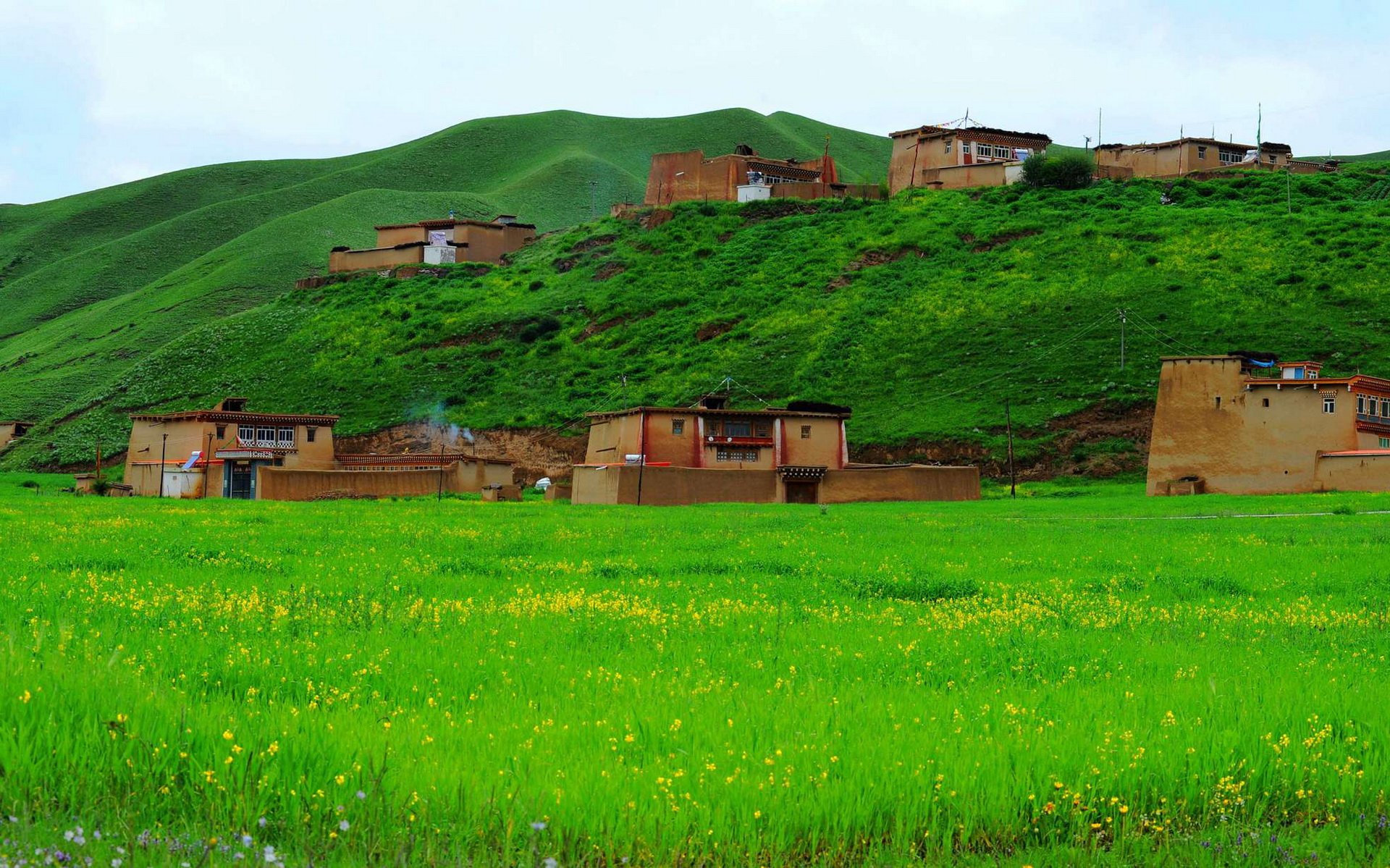 私人地理 风景 草原 摄影