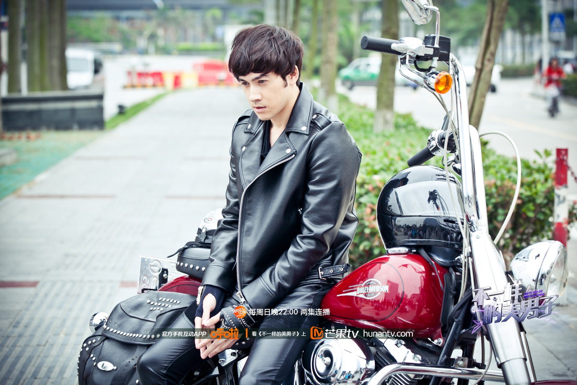 不一样的美男子 芒果TV
