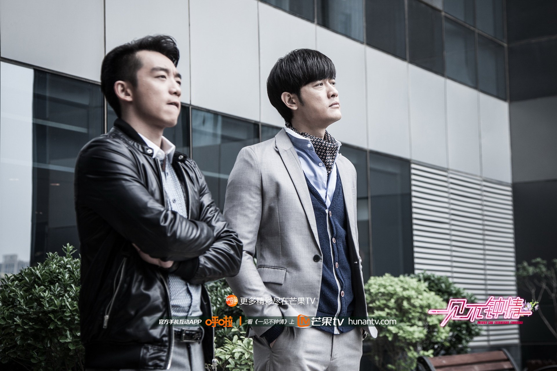 一见不钟情 芒果TV