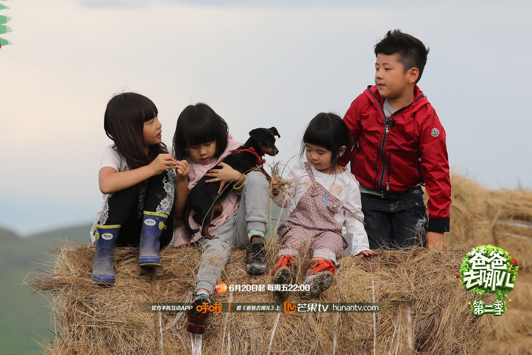 爸爸去哪儿2  芒果TV 湖南卫视