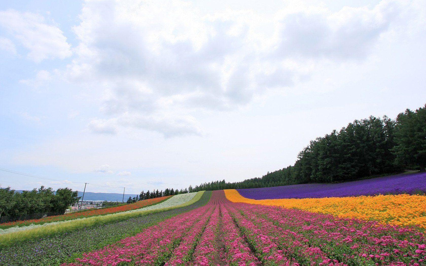 风景 自然风光 大自然 唯美 日本 北海道 日系 旅游胜地