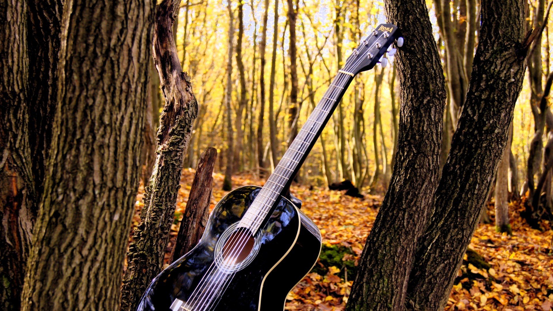 小清新 温暖 干净 安静 唯美 静物 物语 时光