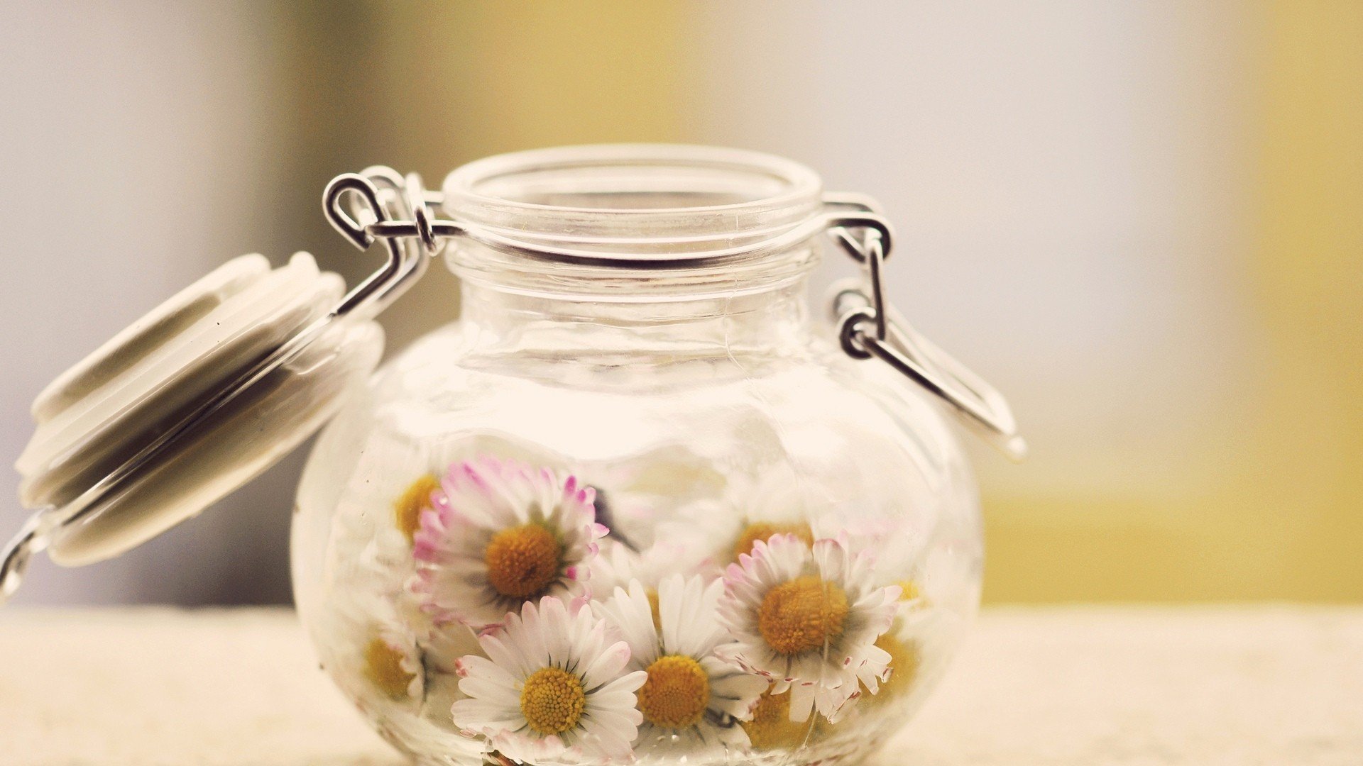 小清新 温暖 干净 安静 唯美 静物 物语 时光