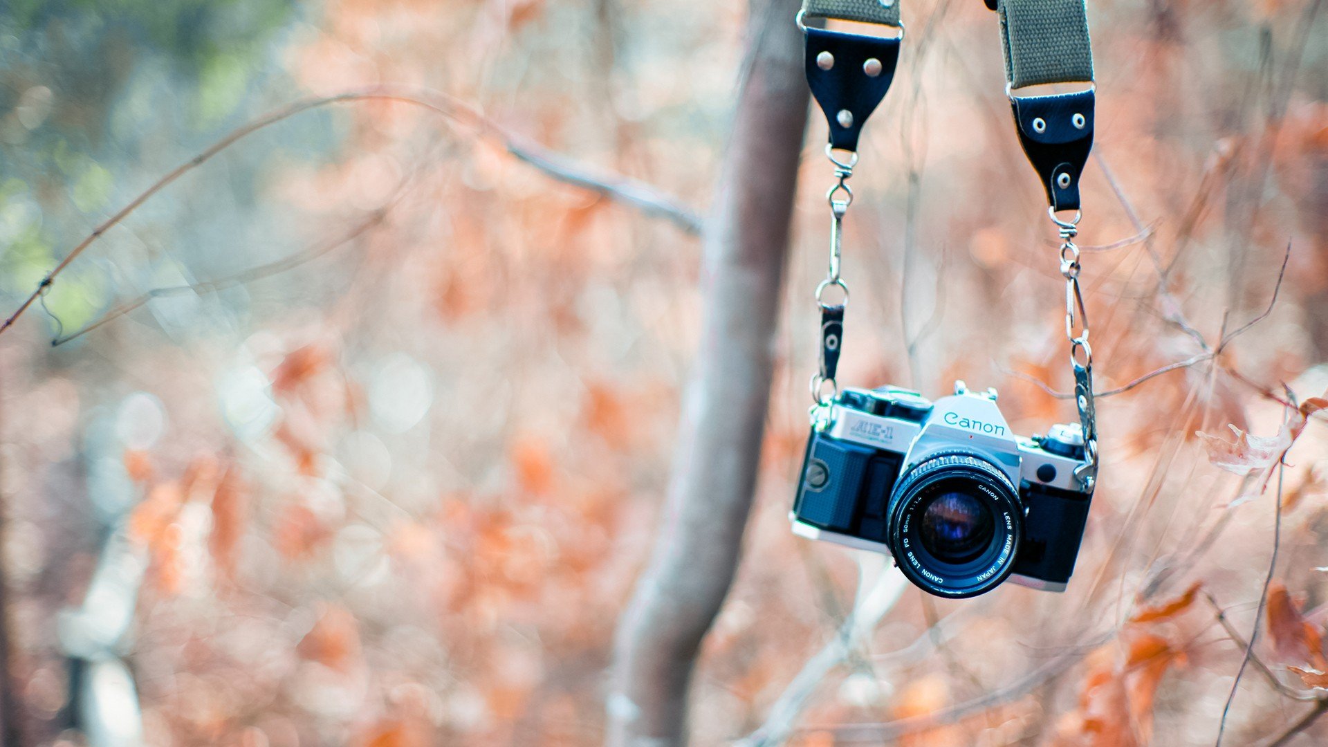 小清新 温暖 干净 安静 唯美 静物 物语 时光