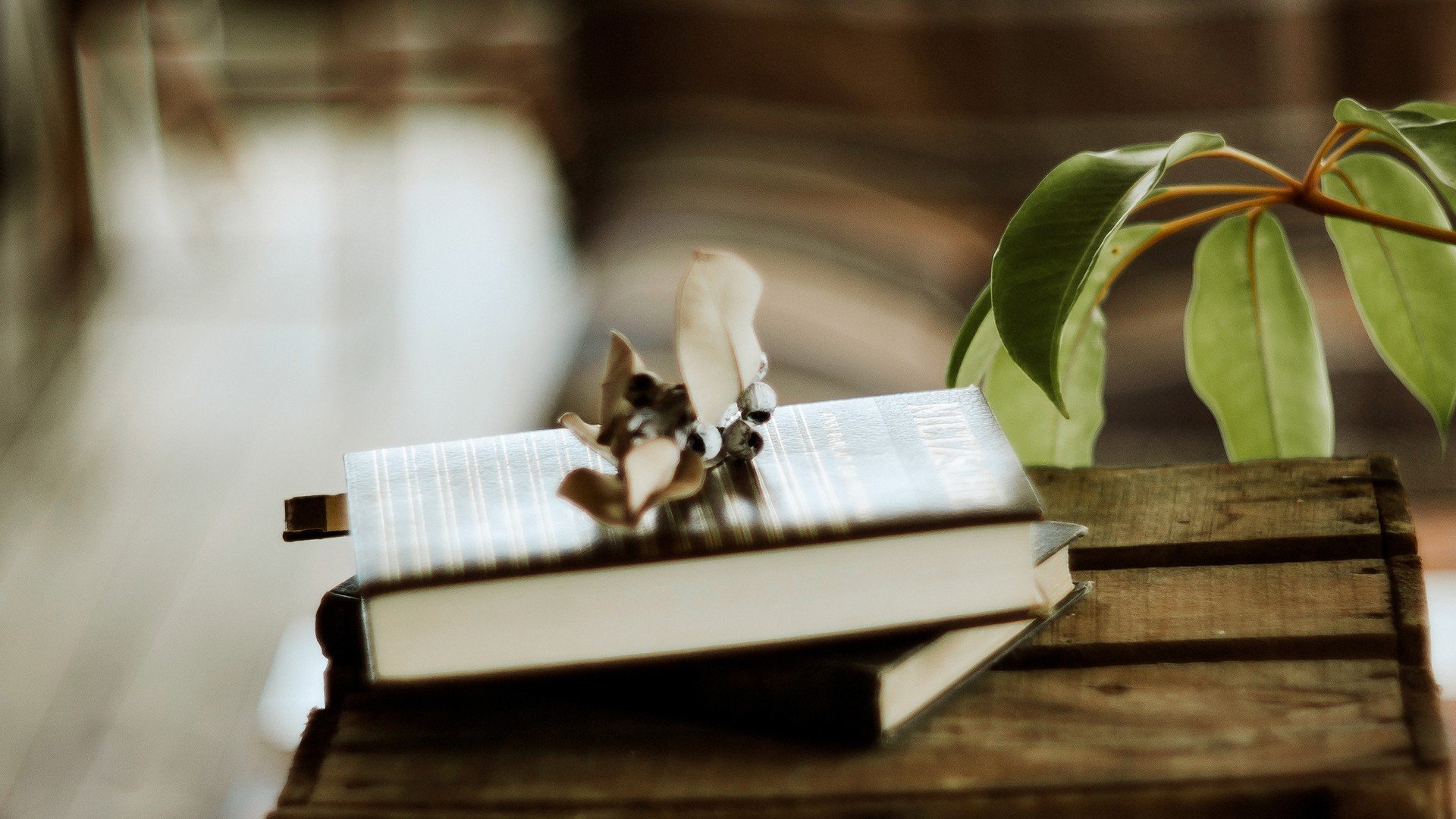 小清新 温暖 干净 安静 唯美 静物 物语 时光