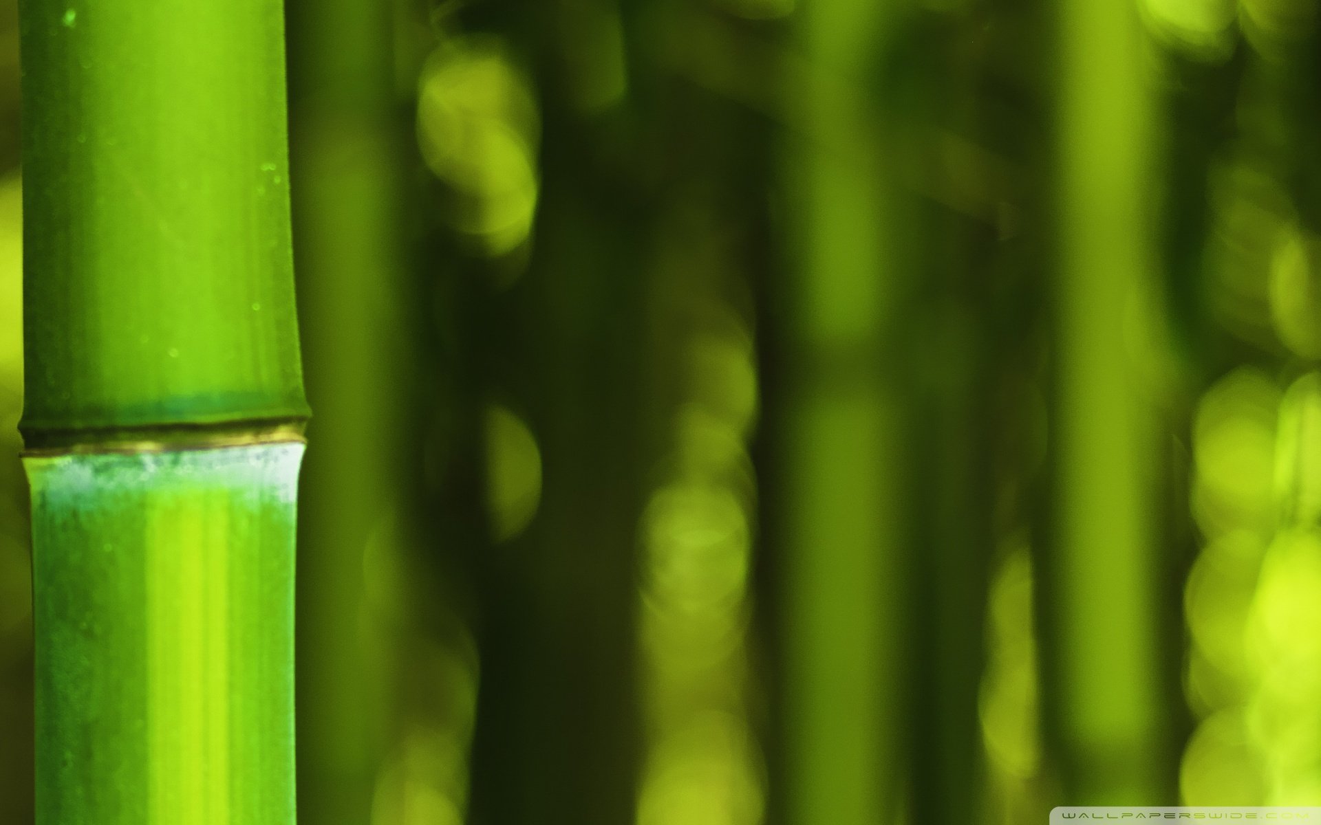 小清新 温暖 干净 安静 唯美 静物 物语 时光