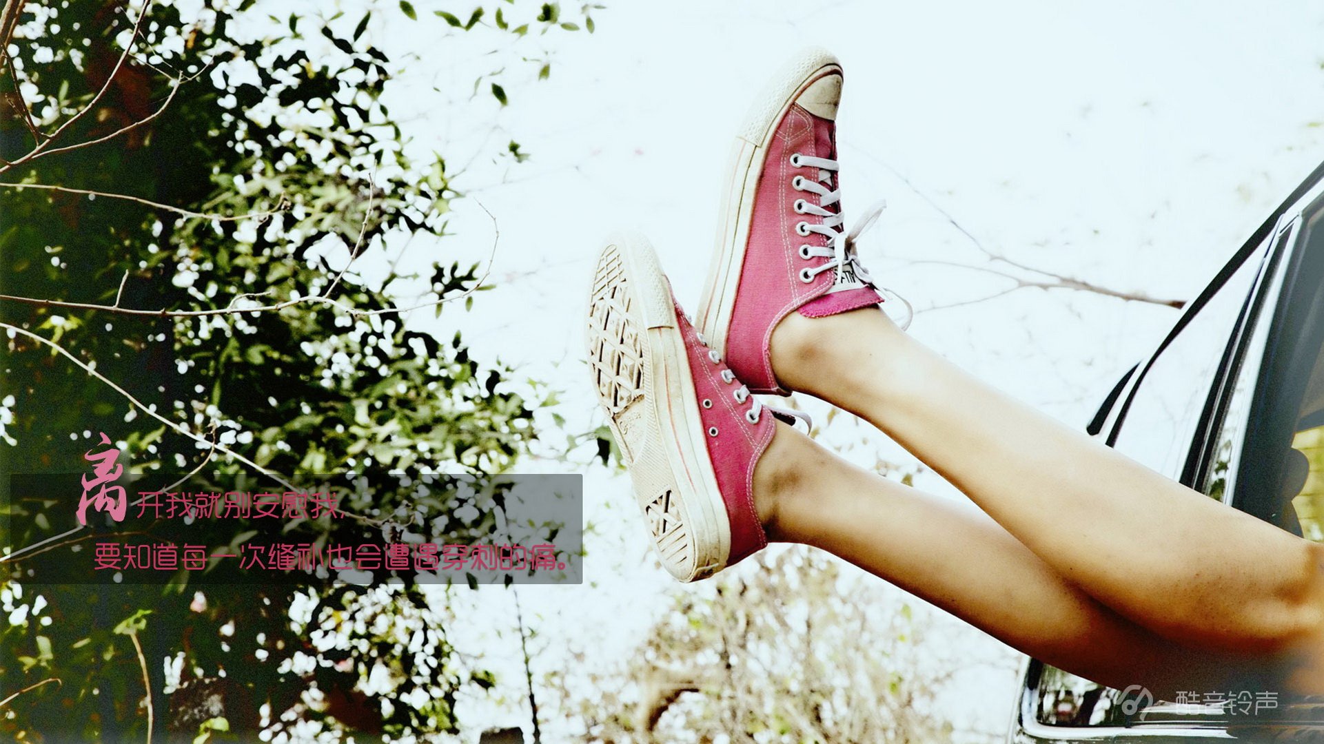 小清新 温暖 干净 安静 唯美 静物 物语 时光 恋生活 文字 @酷音铃声