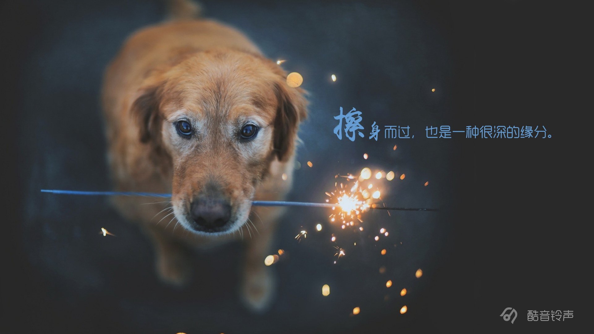 小清新 温暖 干净 安静 唯美 静物 物语 时光 恋生活 文字 @酷音铃声