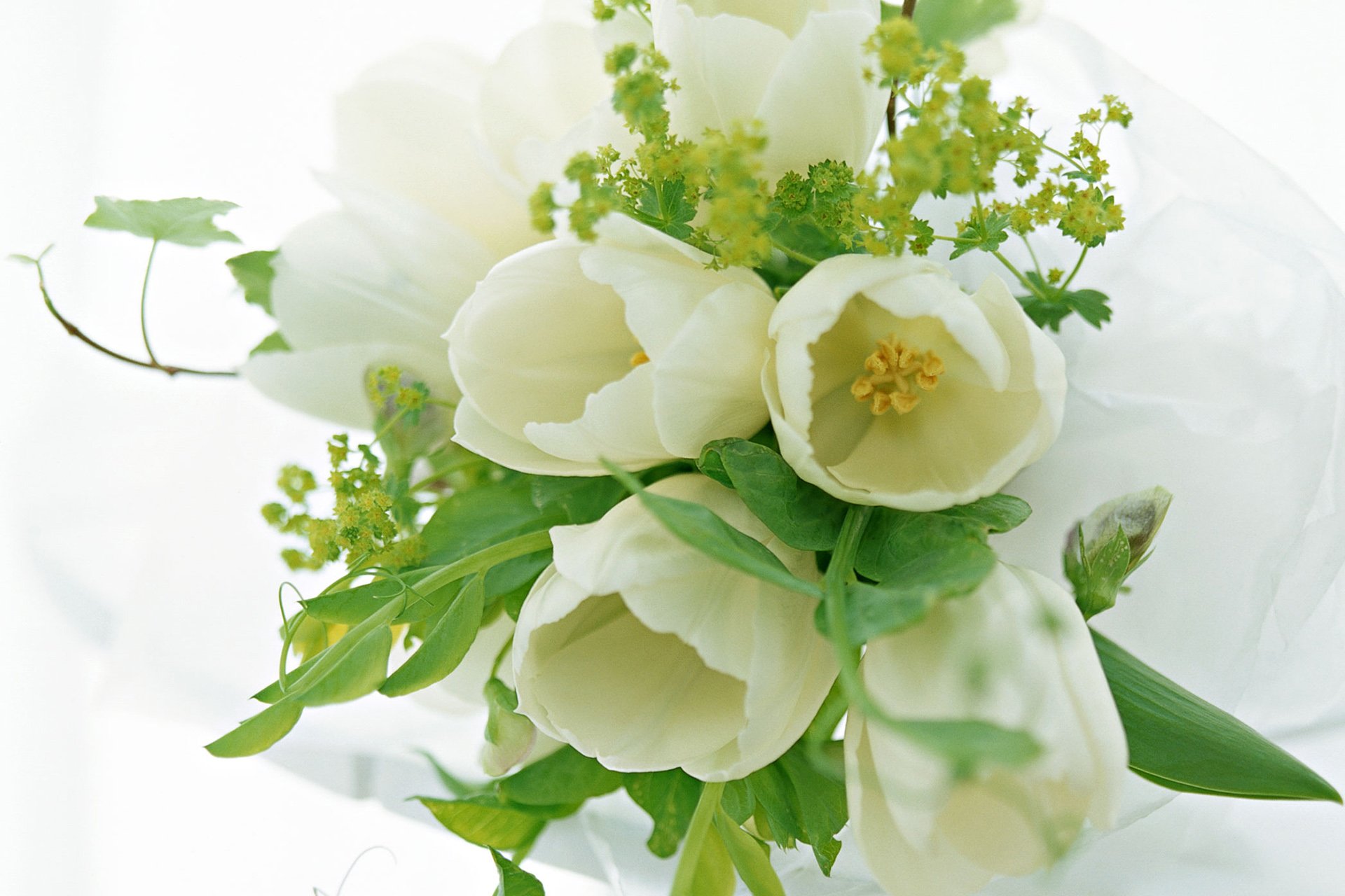 小清新 温暖 干净 安静 唯美 静物 物语 时光