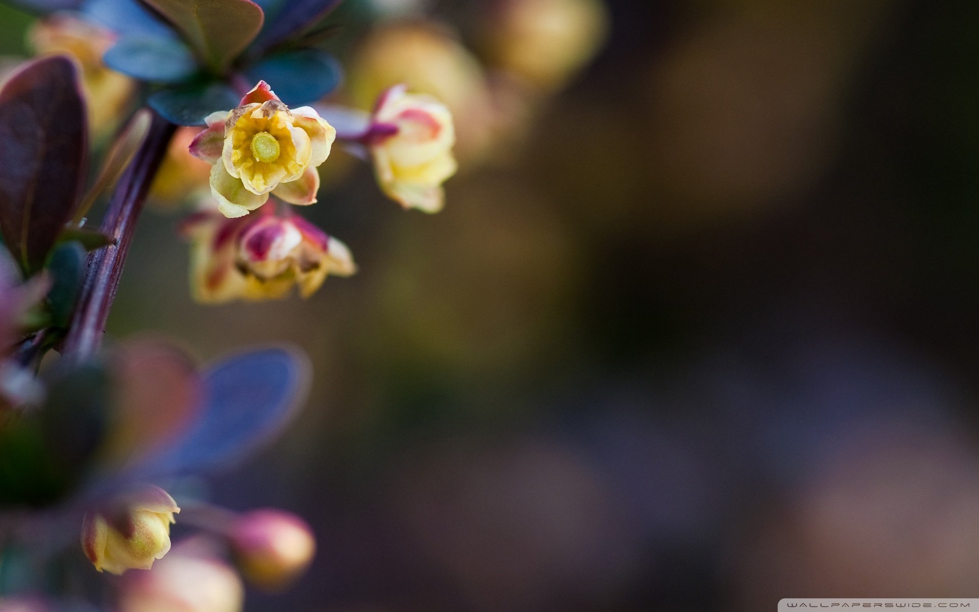 小清新 温暖 干净 安静 唯美 静物 物语 时光