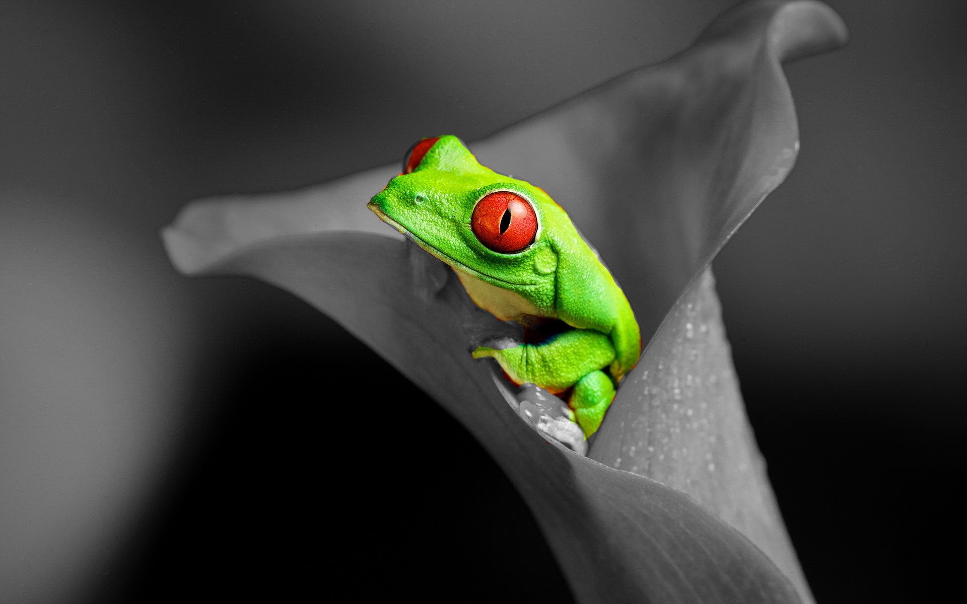 小清新 温暖 干净 安静 唯美 静物 物语 时光 清新淡雅 宁静安详