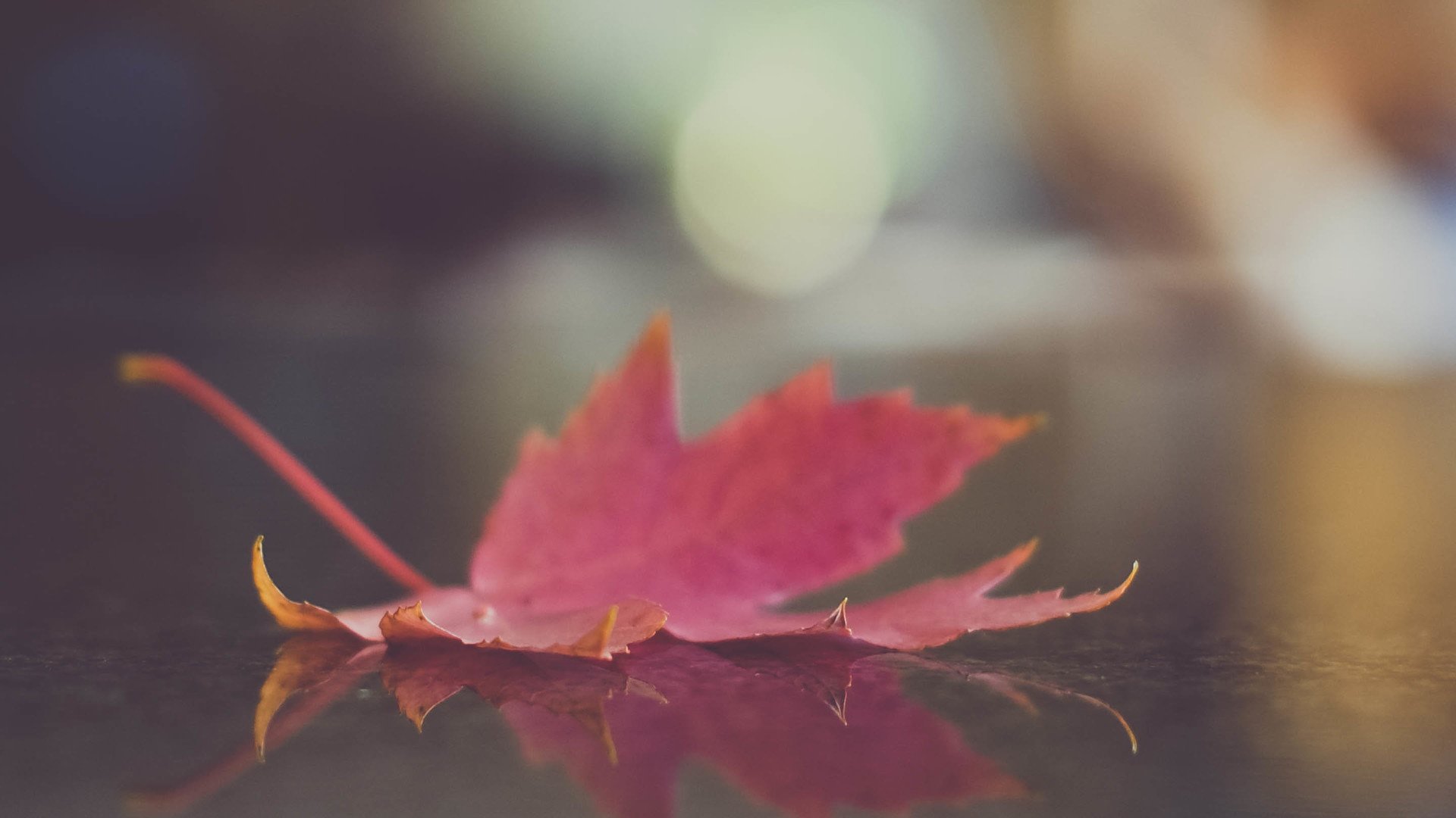 小清新 温暖 干净 安静 唯美 静物 物语 时光 清新淡雅 宁静安详