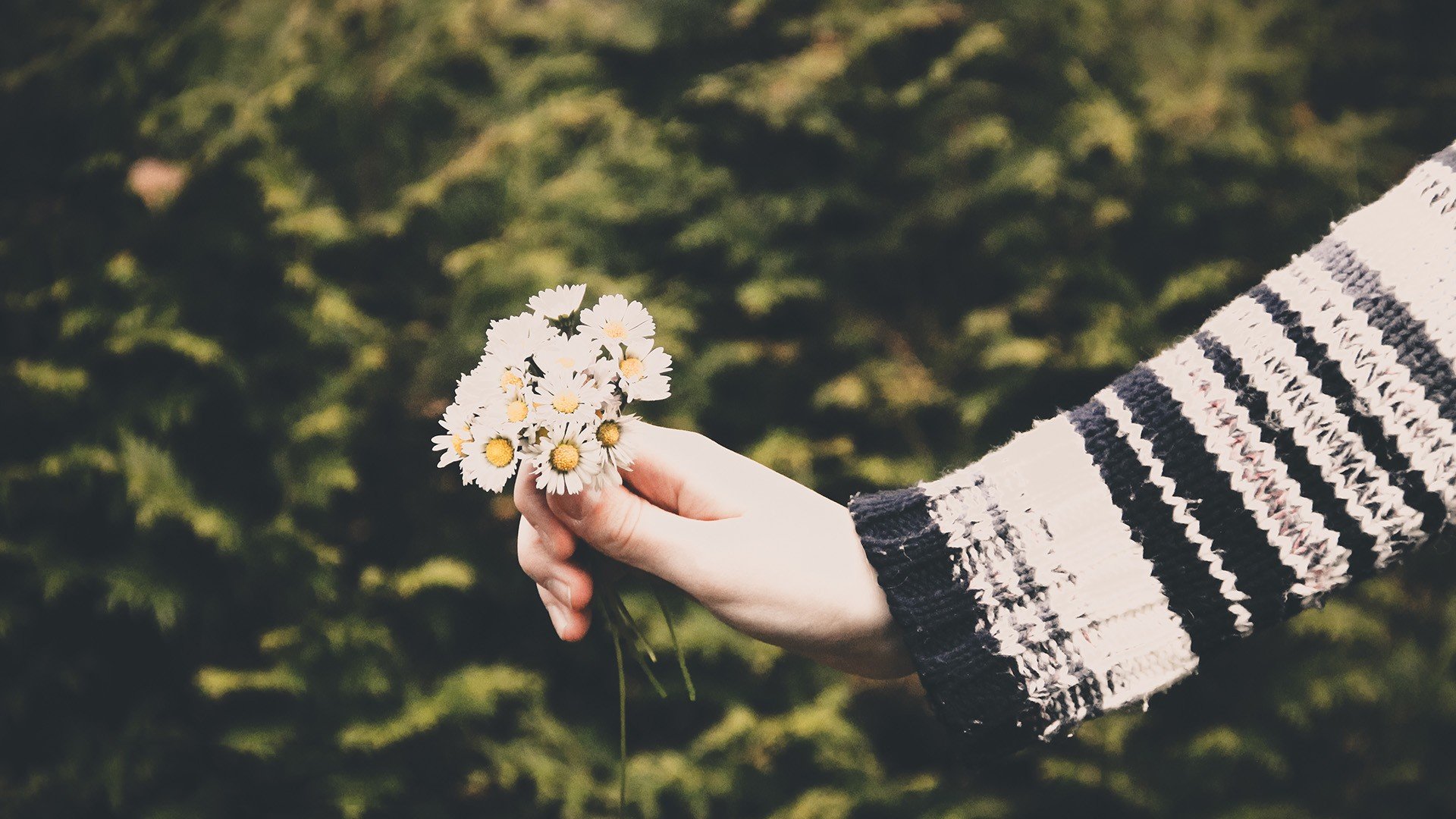 小清新 温暖 干净 安静 唯美 静物 物语 时光