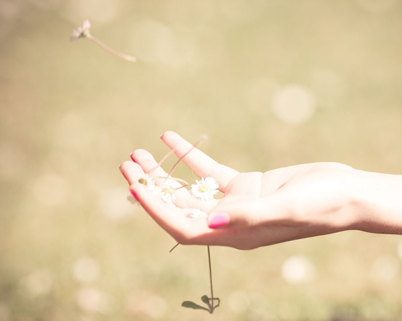 小清新 温暖 干净 安静 唯美 静物 物语 时光