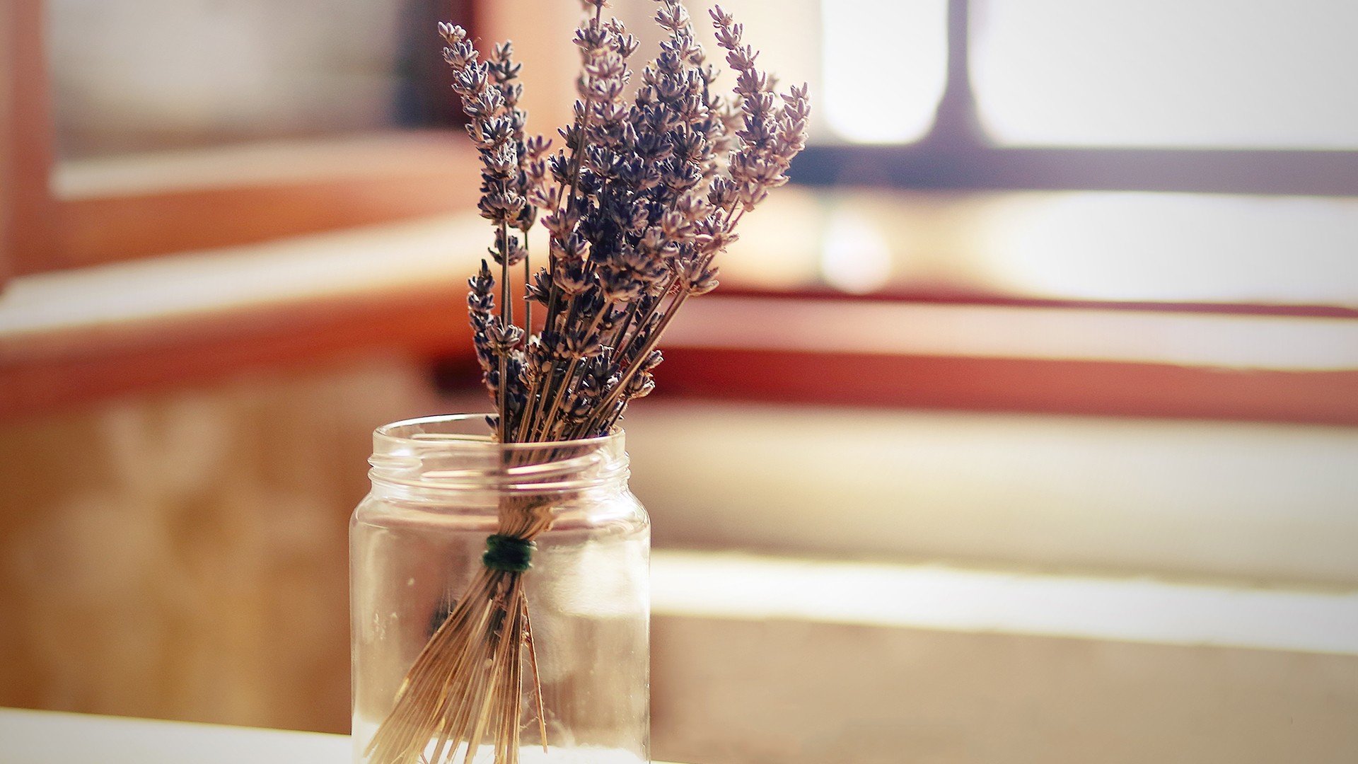 小清新 温暖 干净 安静 唯美 静物 物语 时光 清新淡雅 花朵