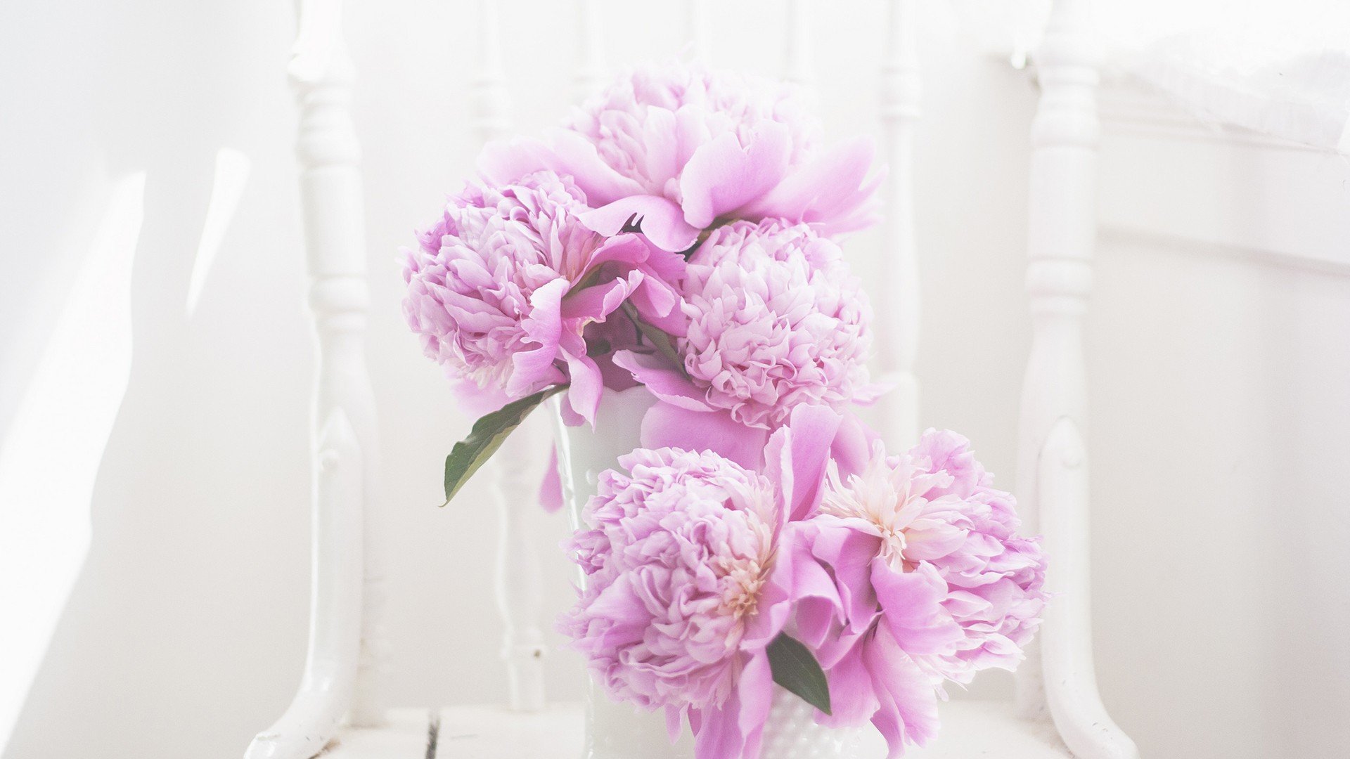 小清新 温暖 干净 安静 唯美 静物 物语 时光 清新淡雅 花朵