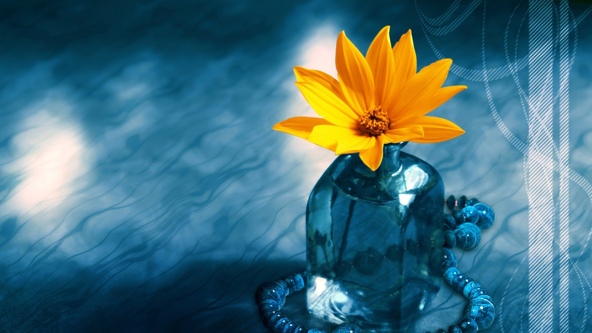 小清新 温暖 干净 安静 唯美 静物 物语 时光 清新淡雅 花朵